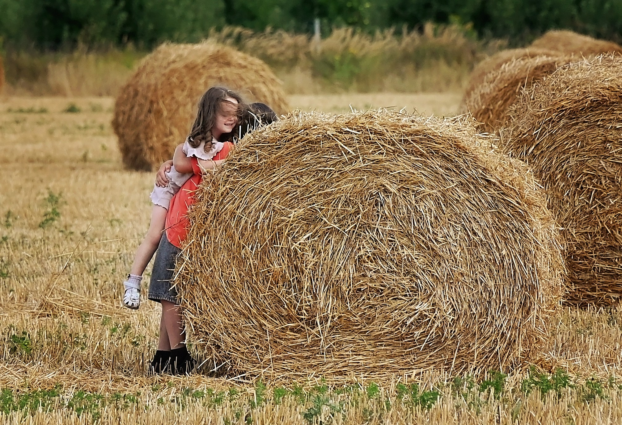 Сено. Главная
