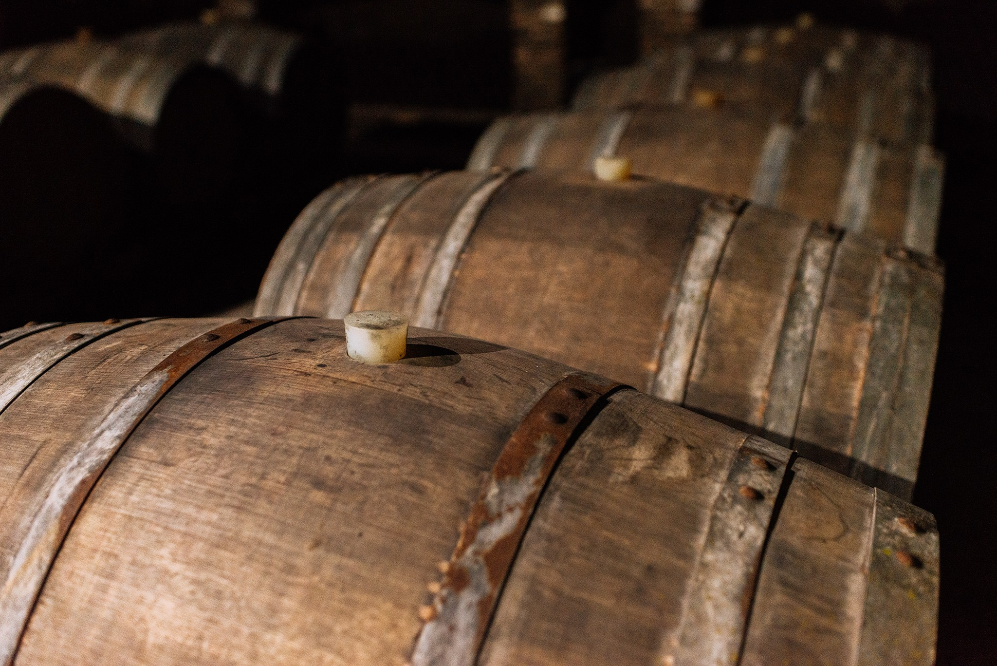 Винный завод «Корпорация Киндзмараули». Май 25. Репортажный фотограф в Санкт-Петербурге Анастасия Клёпова