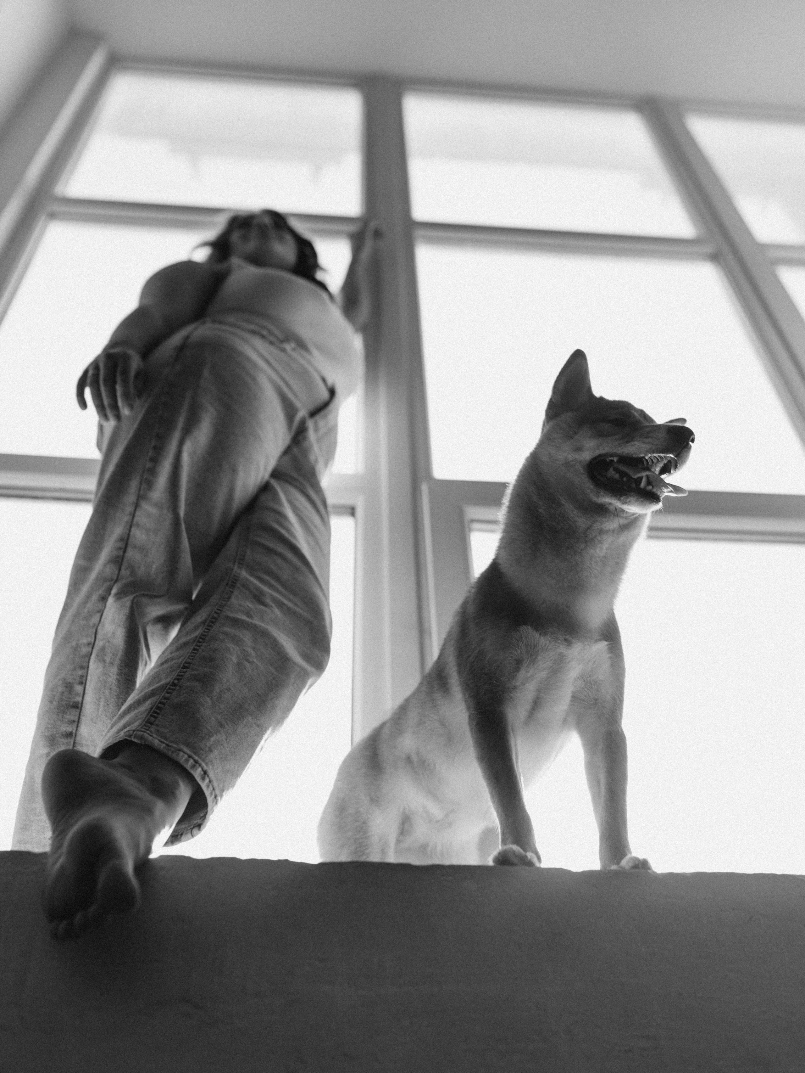 Мика и Настя. Фотограф-анималист в Москве Кириллова Татьяна