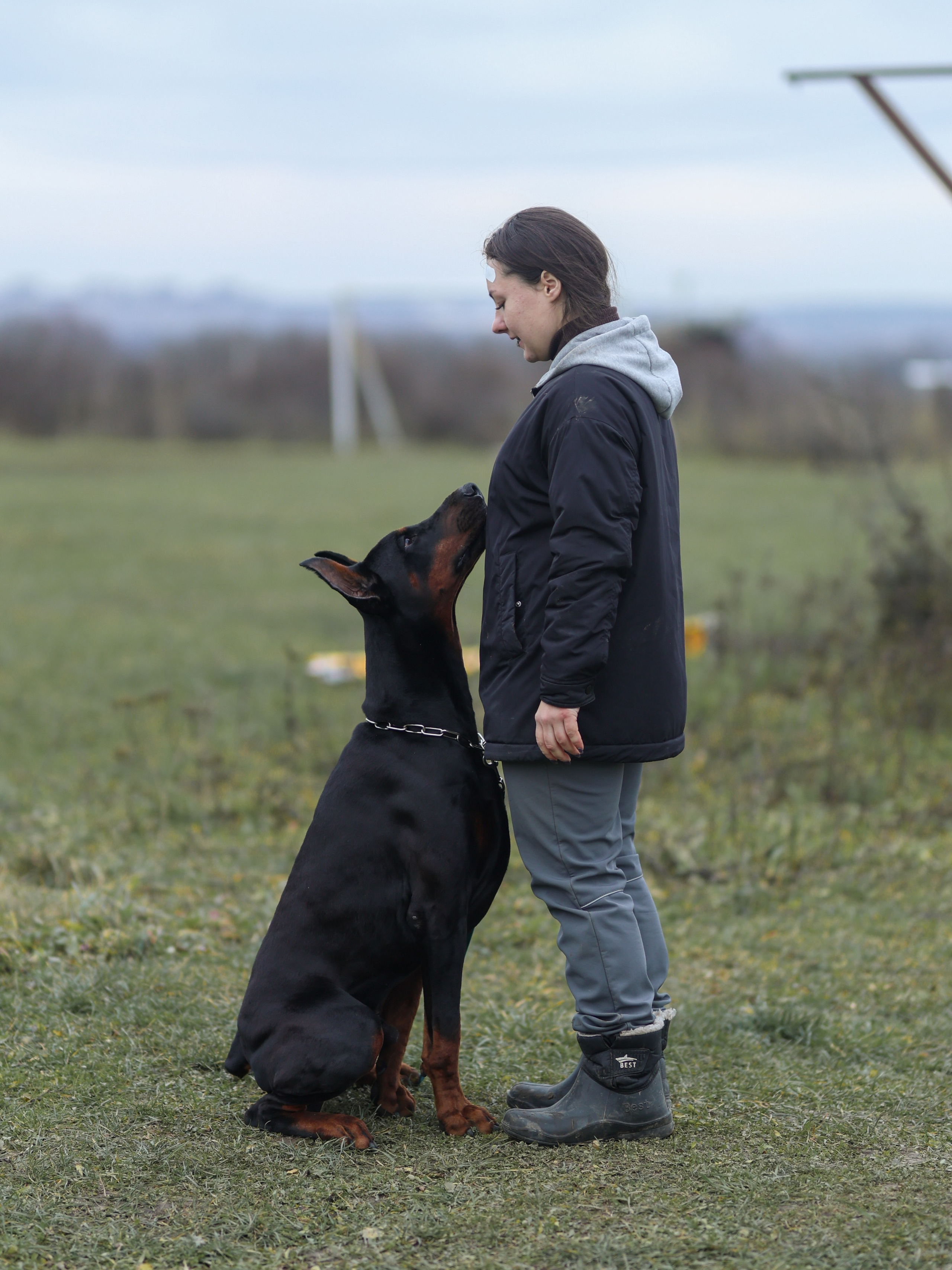 Соревнования BH. Фотограф-анималист в Москве Кириллова Татьяна