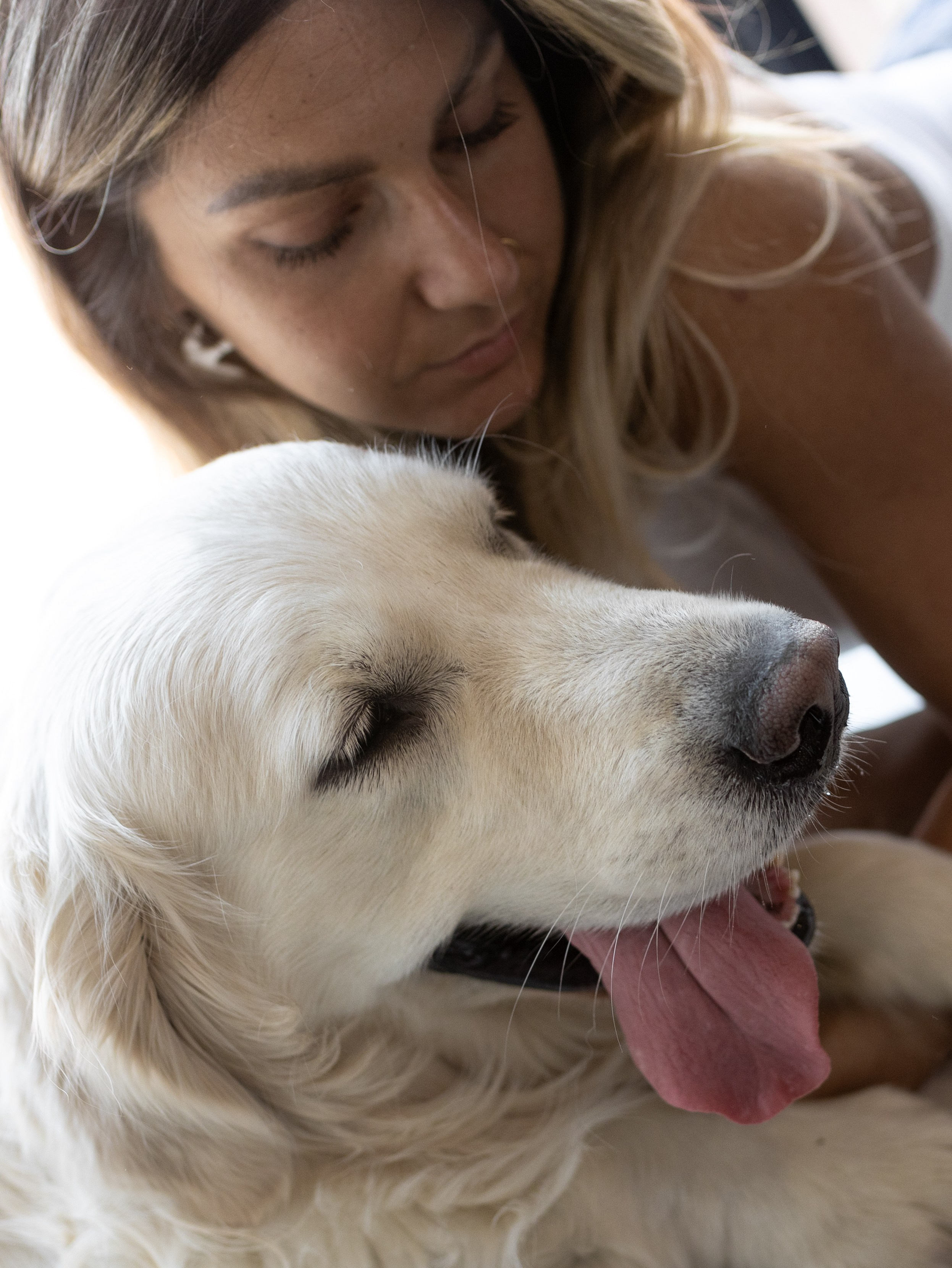 Энди и Настя. Фотограф-анималист в Москве Кириллова Татьяна