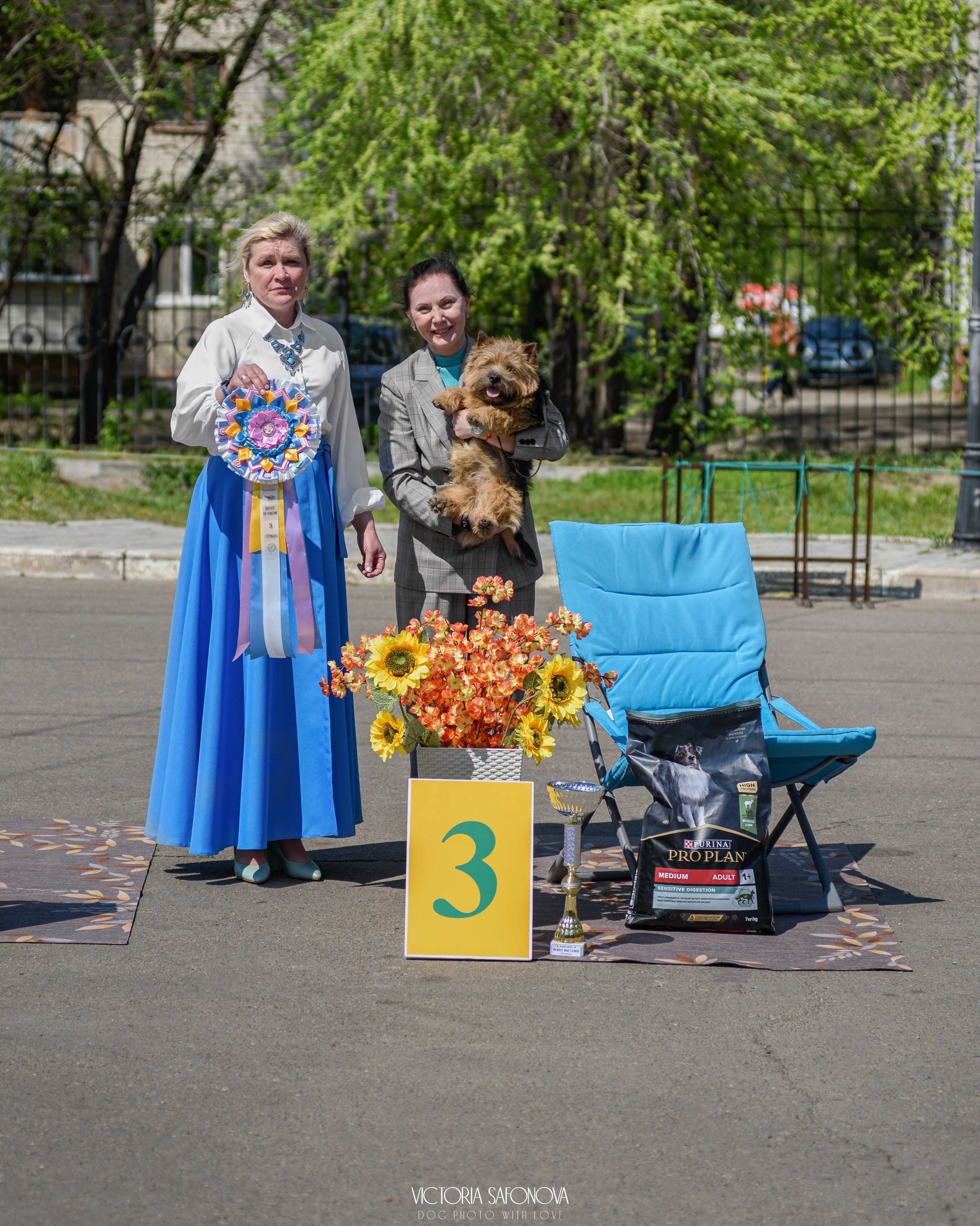 18–19 мая 2024 Благовещенск. Фотограф анималист Благовещенск. Сафонова Виктория