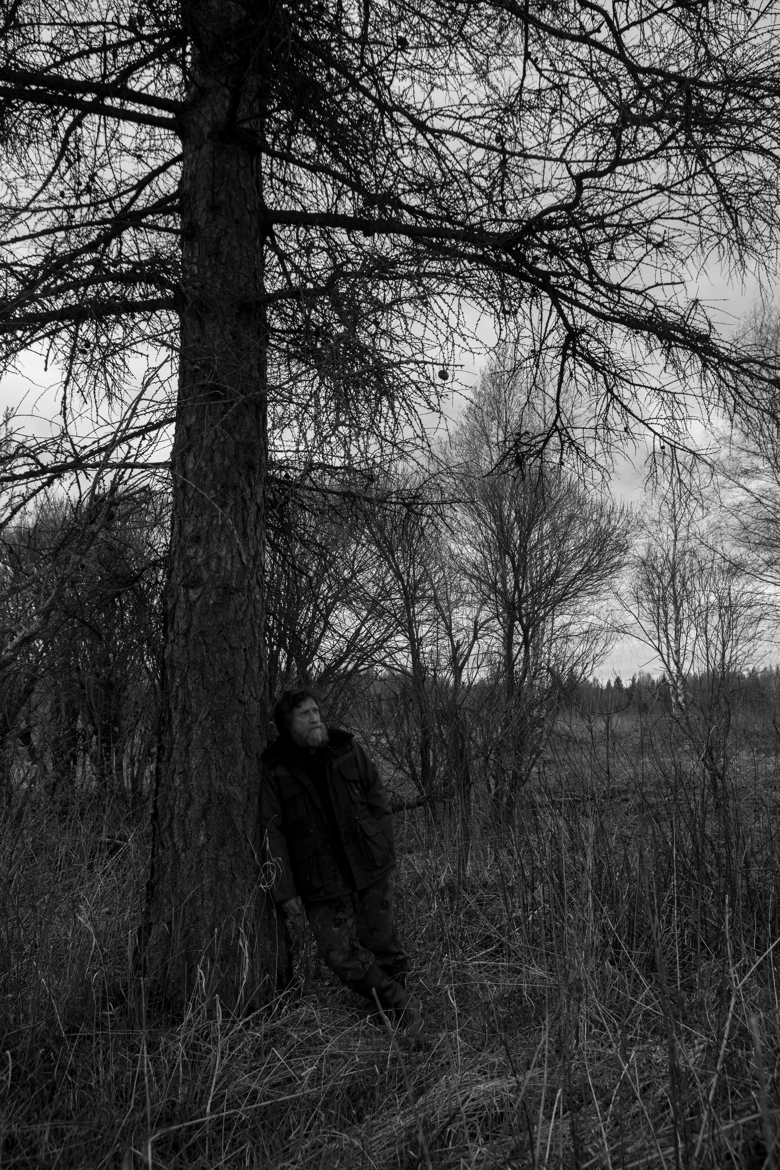 Хранитель лесов. Портретная фотосъёмка, репортажная, контент для вашего бизнеса