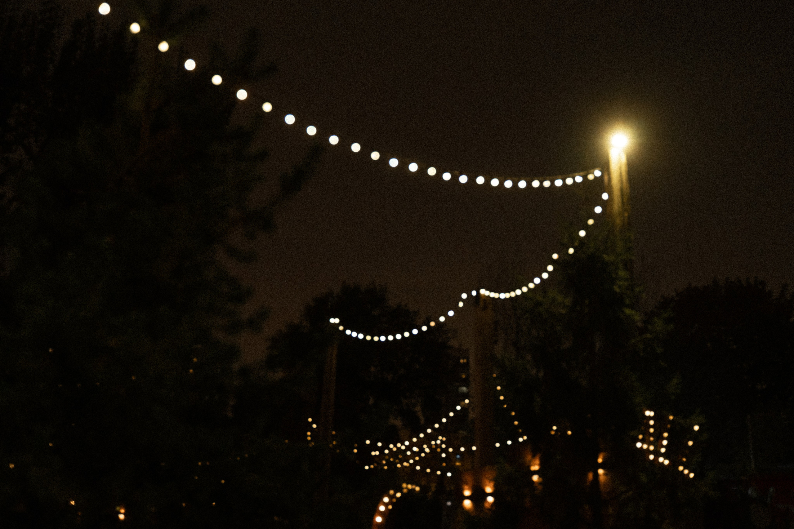 Екатерина и Виктор. Фотограф в Москве Наталия Варакина