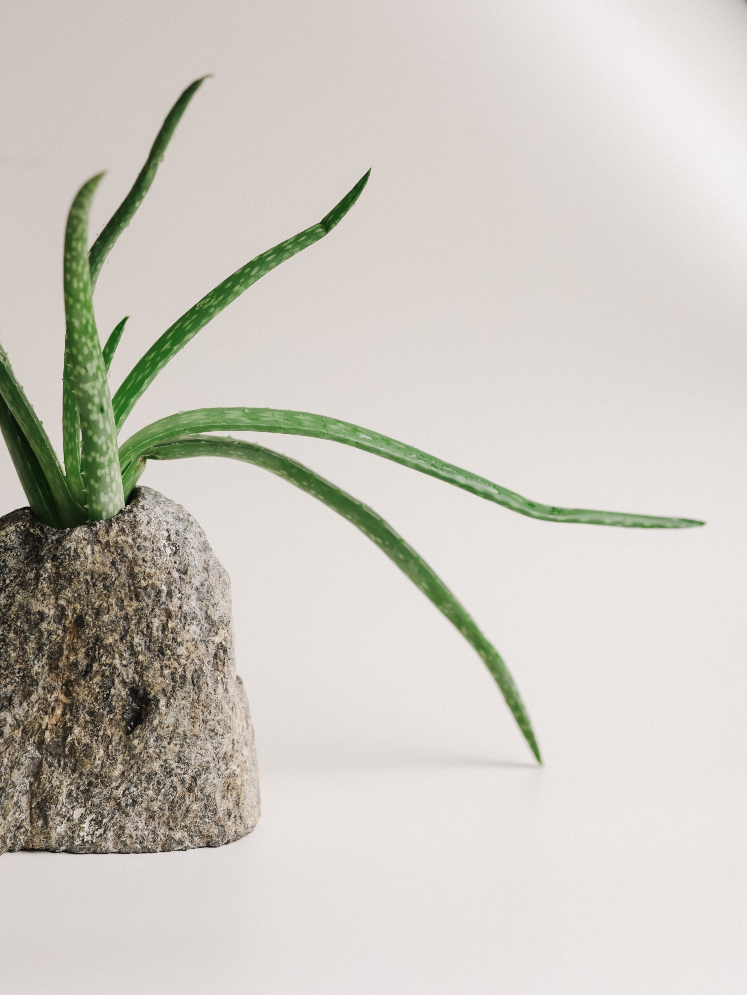 Подсвечники и салфетницы. Алёна Стерхова — Предметный и портретный фотограф. Ижевск