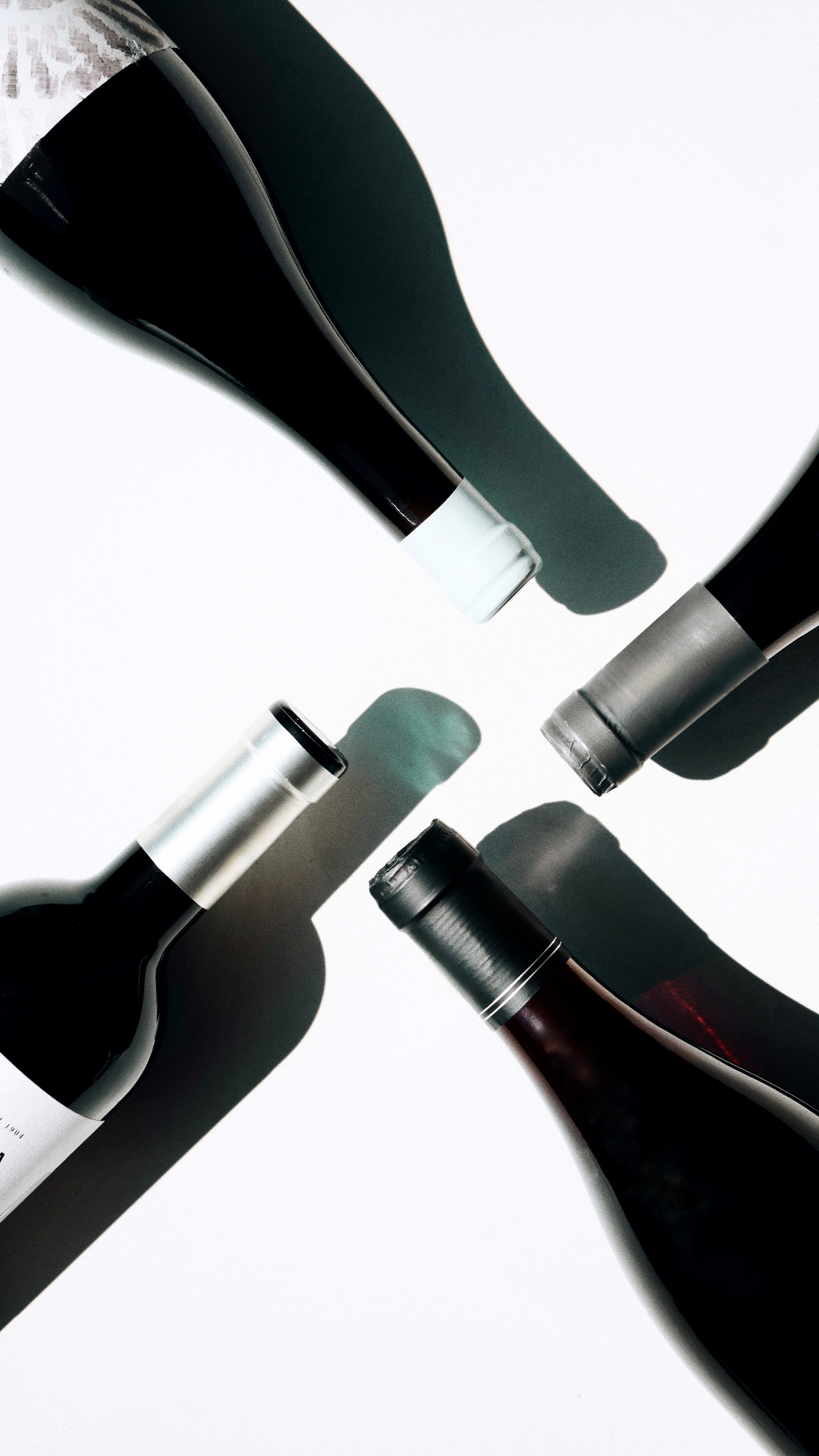 EKATERINA BOGDANOVA ─ PHOTOGRAPHER