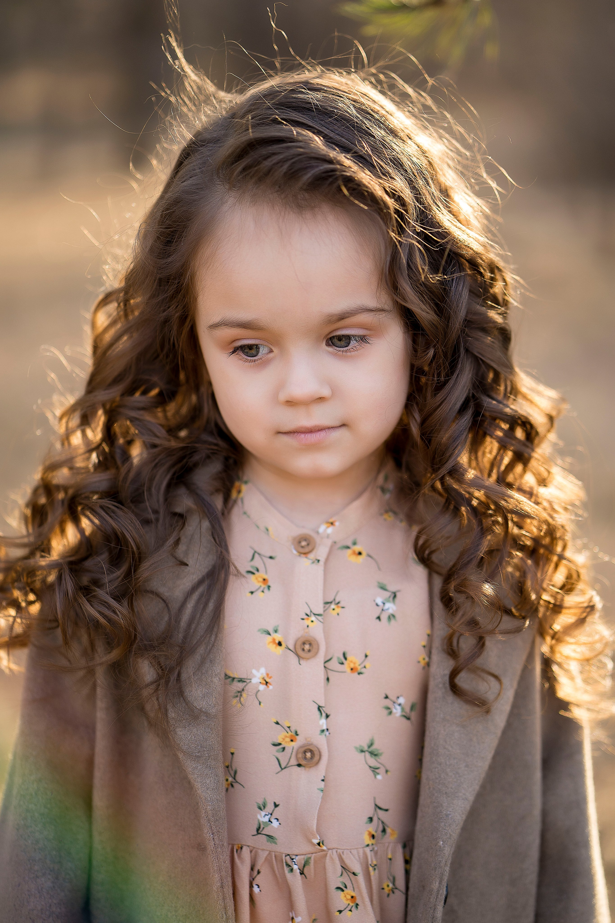 Ариша. Главная