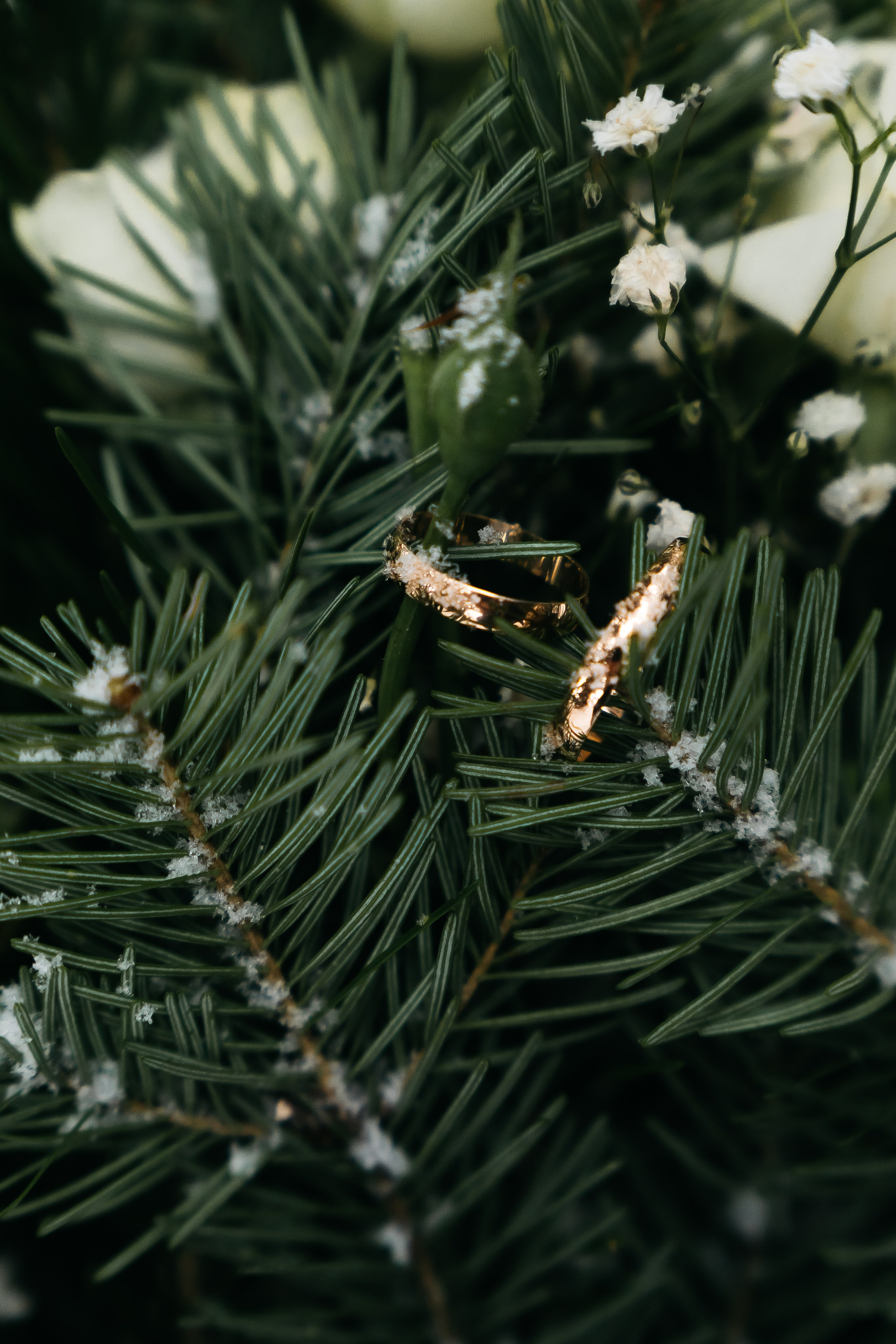 Владислав и Екатерина. Фотограф Новосибирск Вероника Вишневская