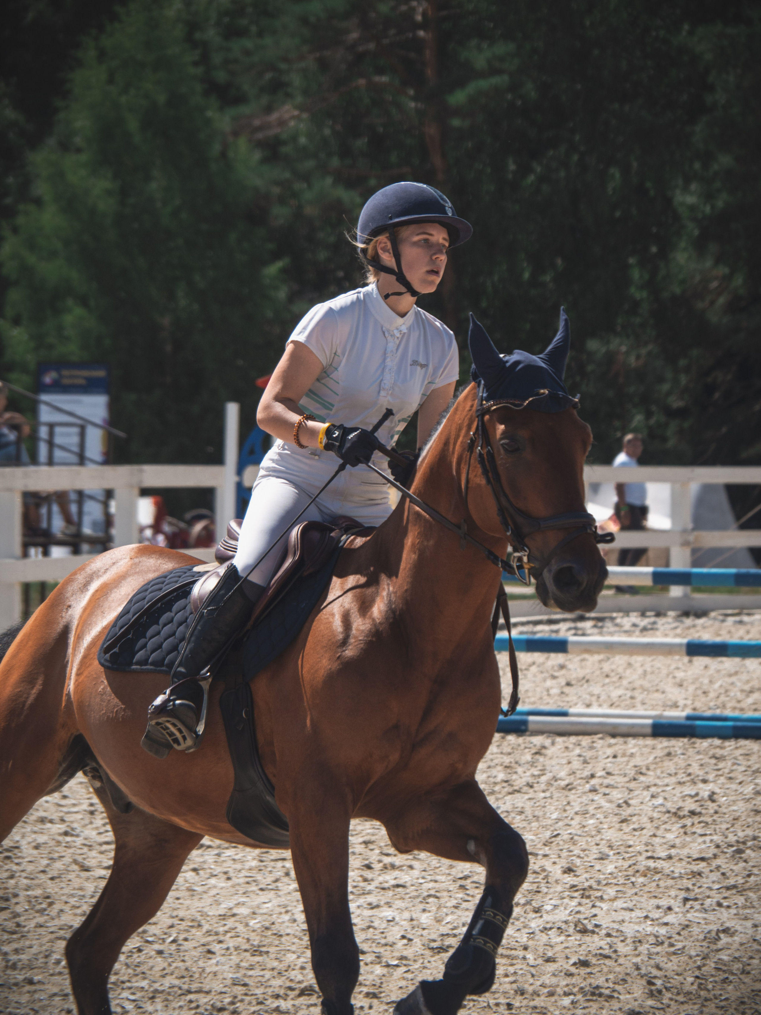 Конные фестивали и мероприятия. Фотограф в Москве Ленарская Дарья