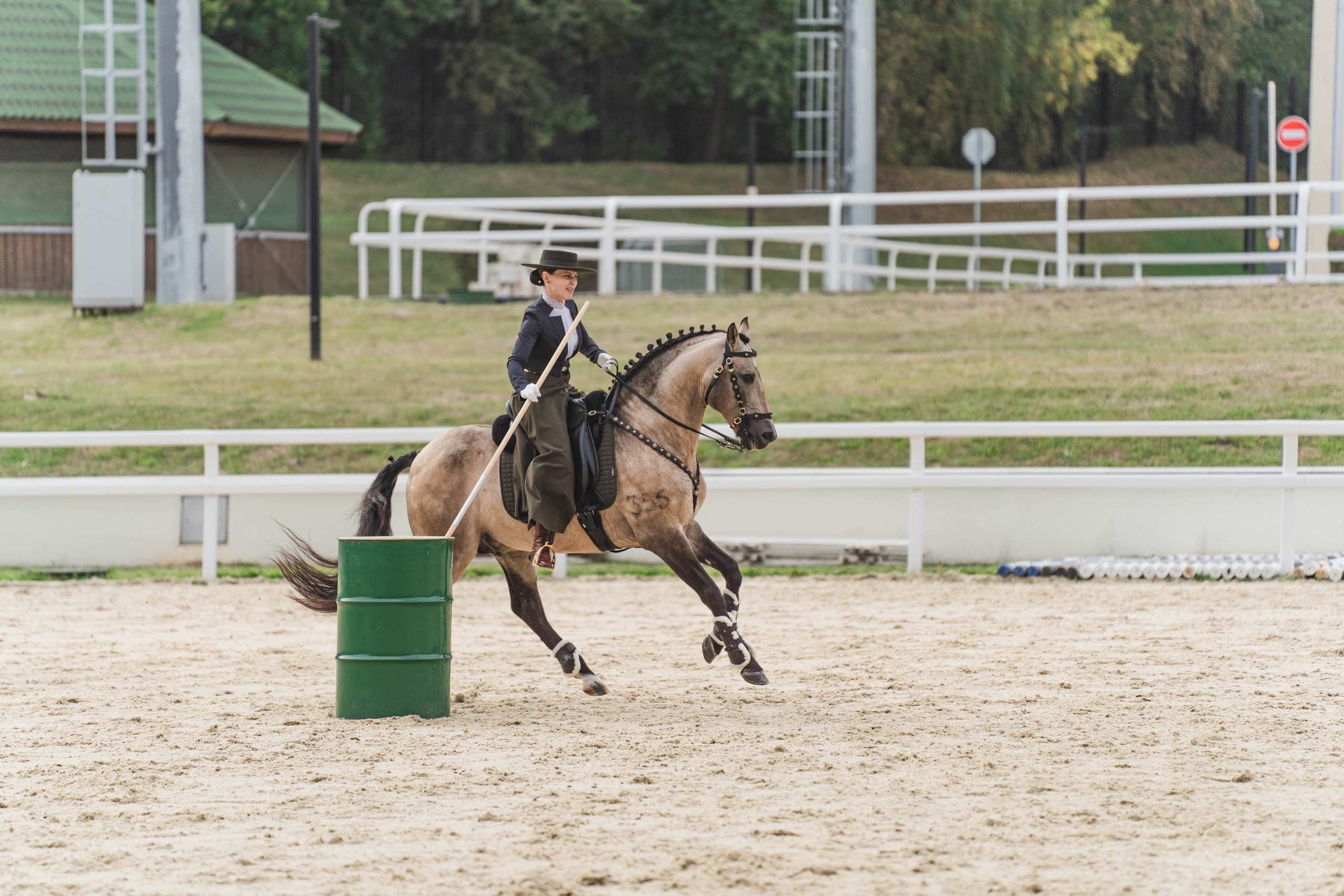Мастер-класс по рабочей выездке. Фотограф в Москве Ленарская Дарья