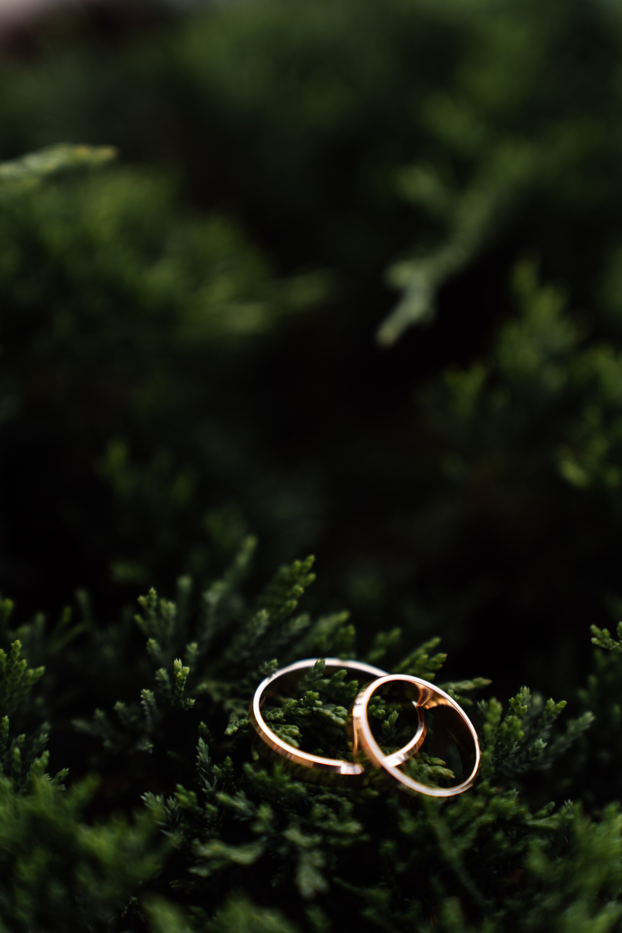 Свадебный фотограф и видеограф в Тольятти, Самаре и Москве — Арзу Магеррамов