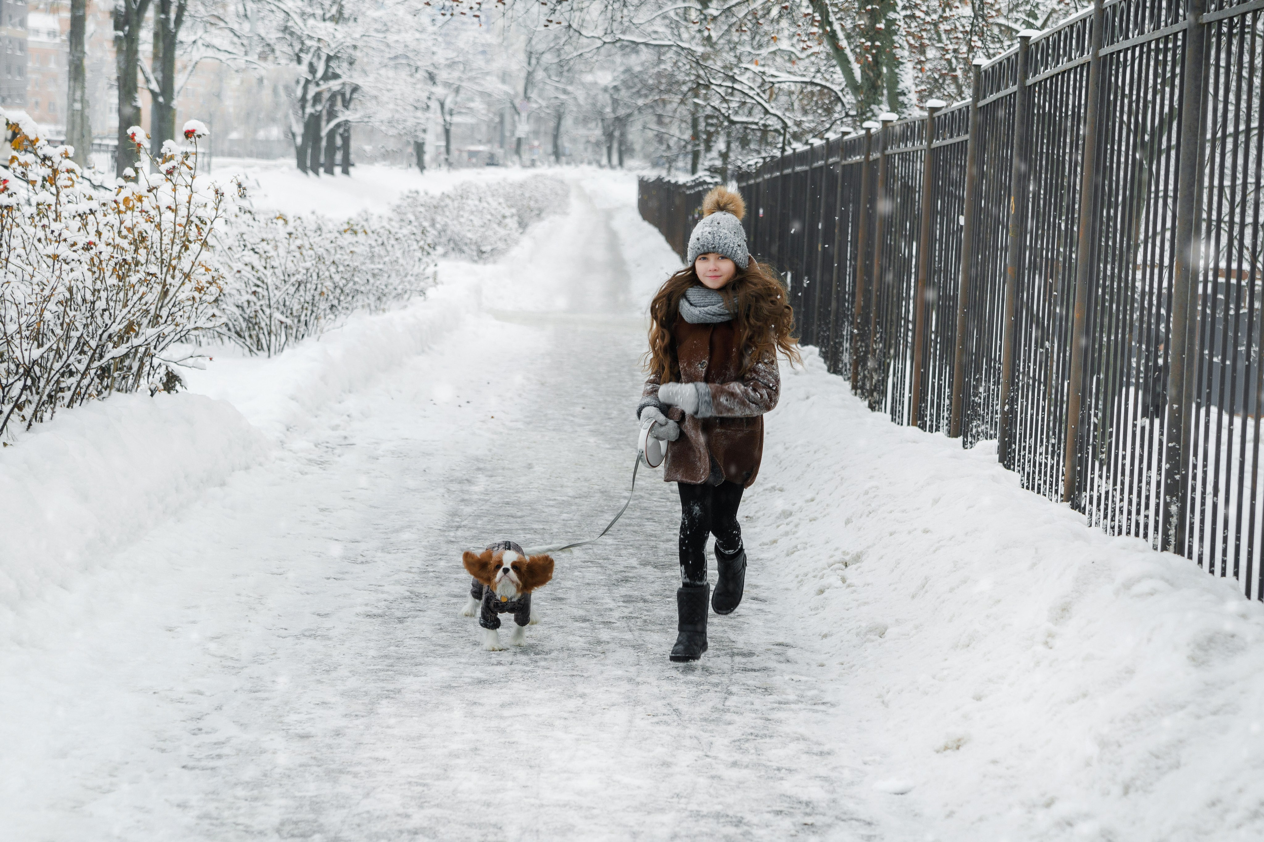 Фотопроект "Снежный"
