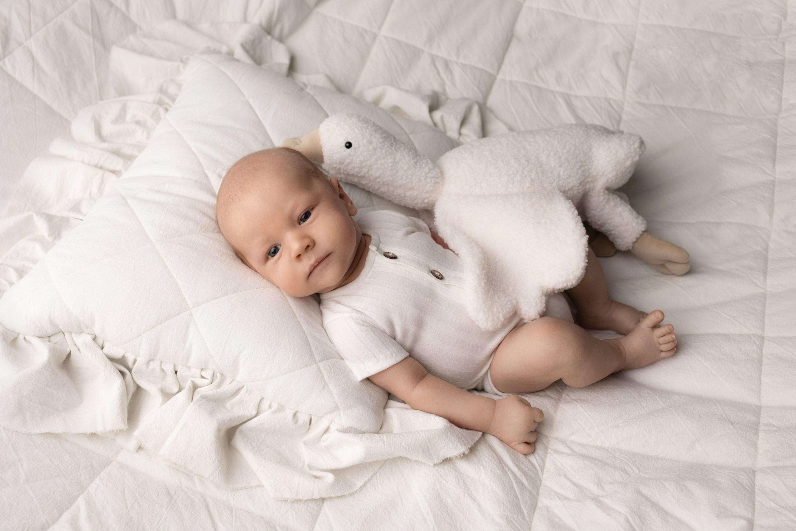 Портфолио Новорожденные - Фотограф новорожденных: искусство запечатлен. Фотограф новорожденных: волшебные моменты первых дней жизни