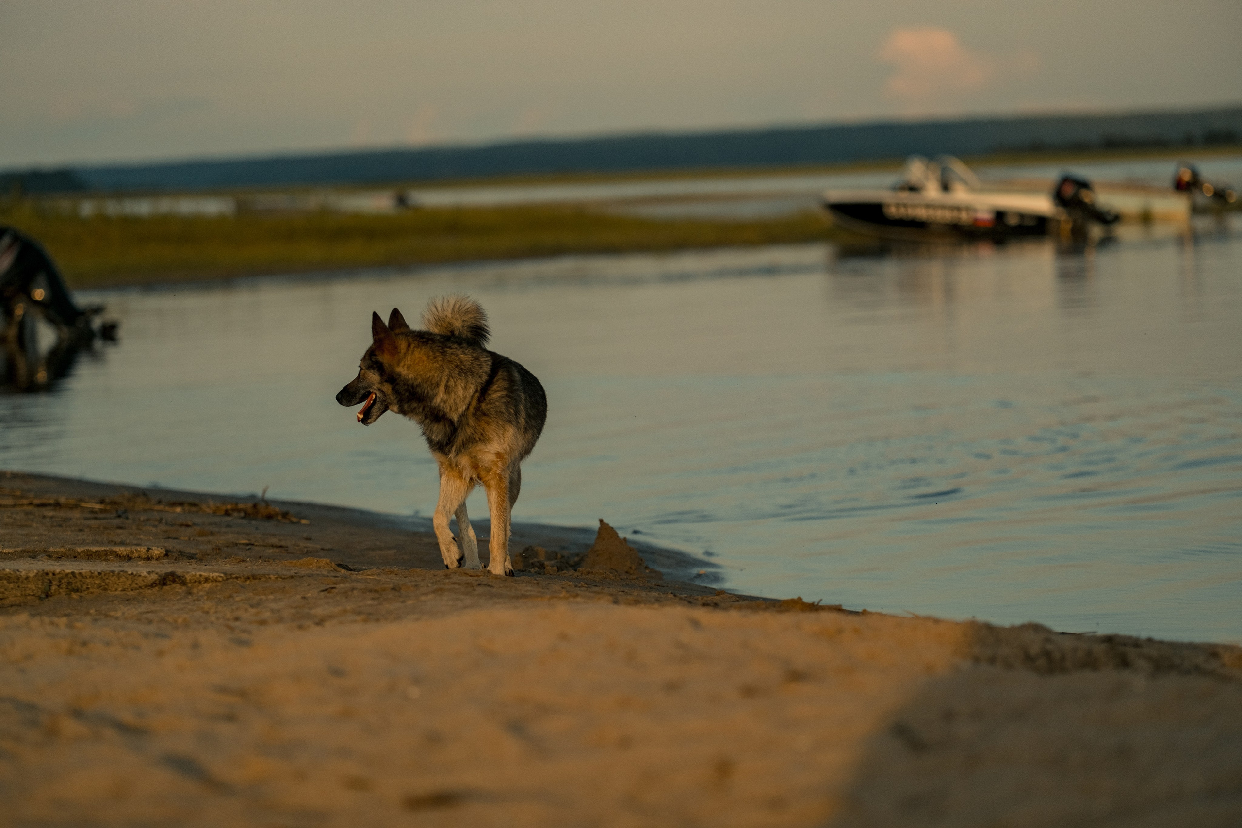 Фотографии Каргополя и красивые виды Русского Севера. Портретный, репортажный и пейзажный фотограф в Москве Сергей Арест