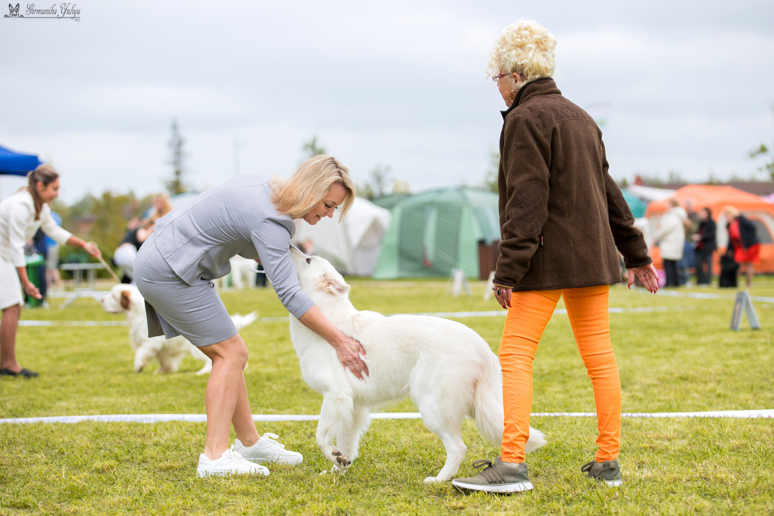 Переславль 9-10.09.2023. Фотограф-анималист Юлия Германика