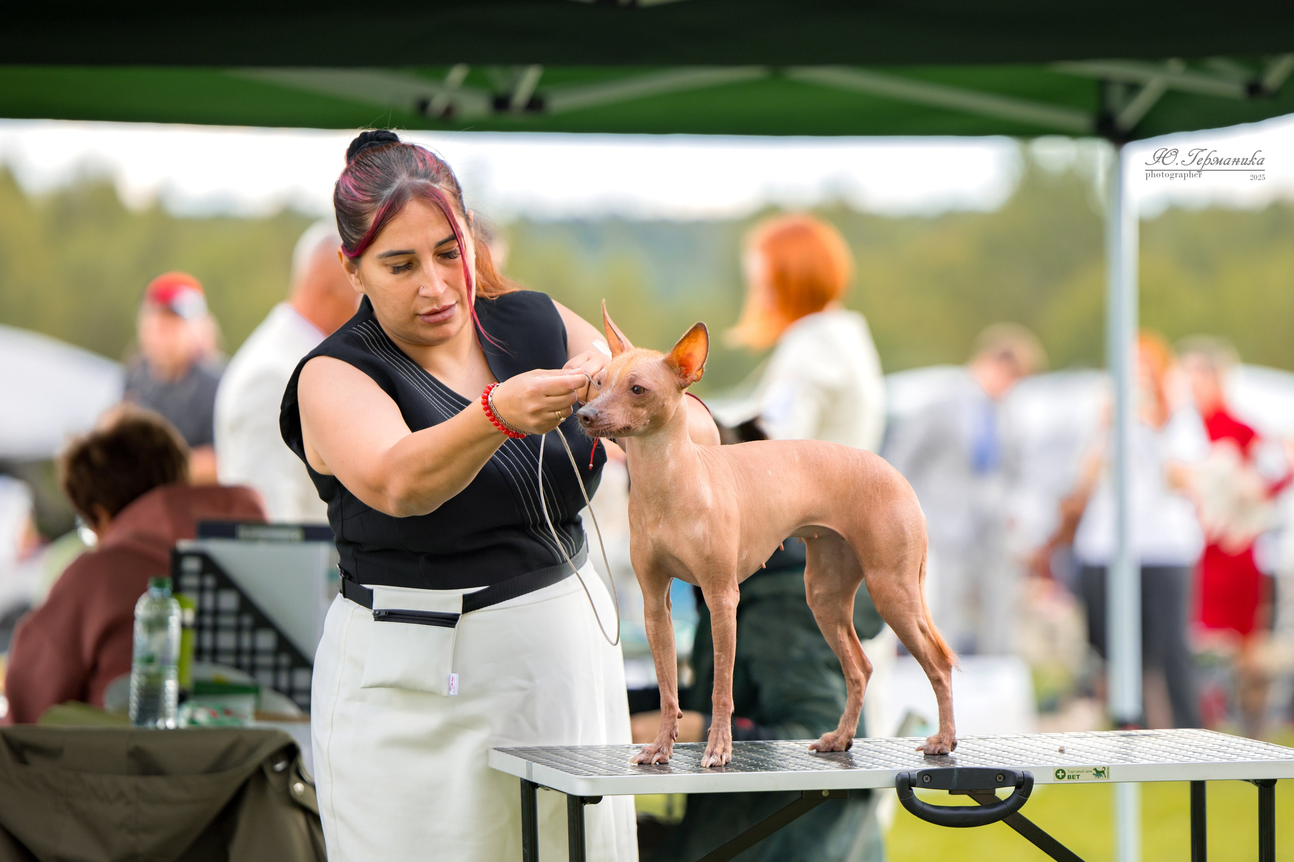 Переславль 5-7.08.2025. Фотограф-анималист Юлия Германика