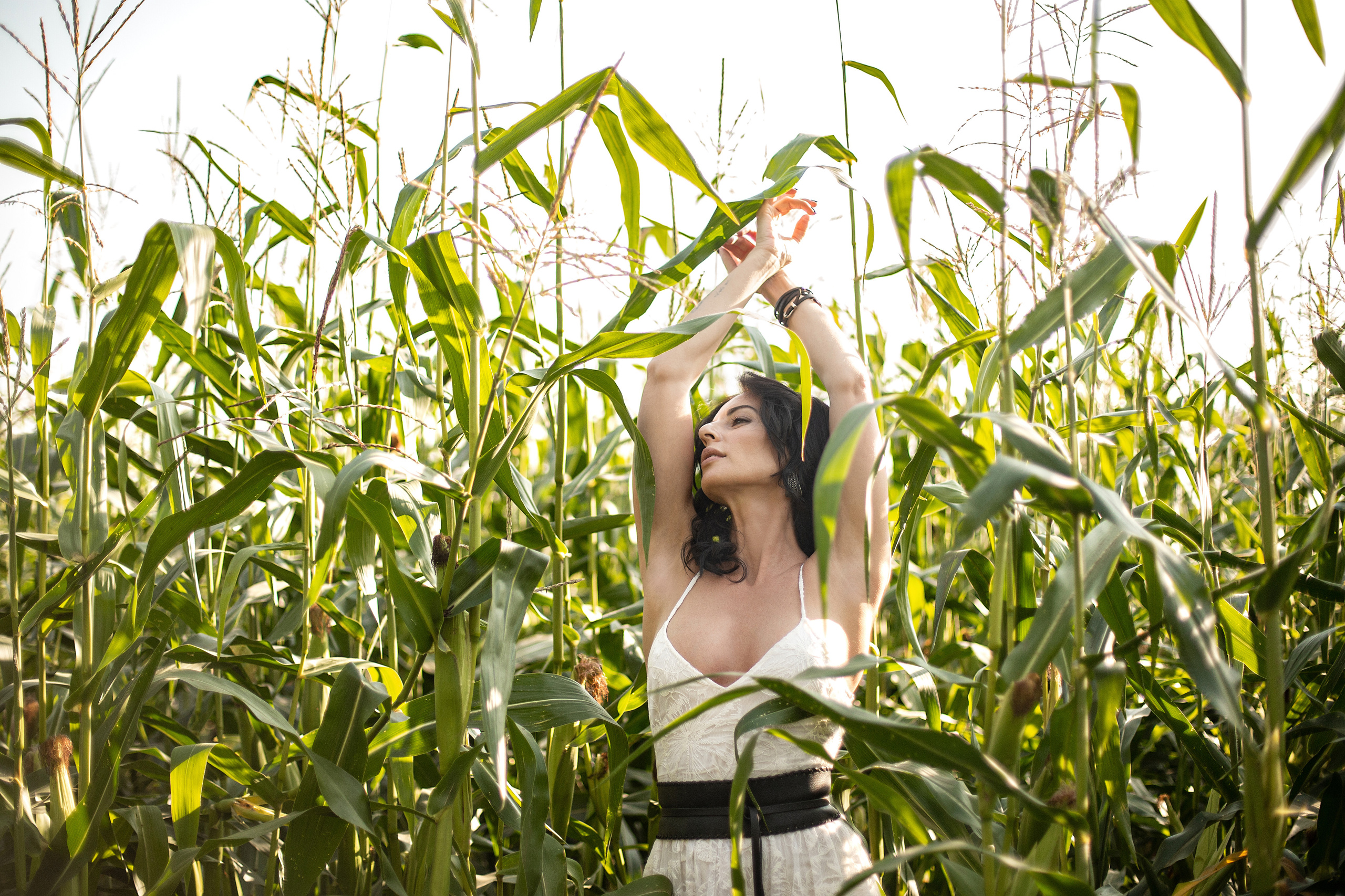 Кукурузное поле. Свадебный и семейный фотограф