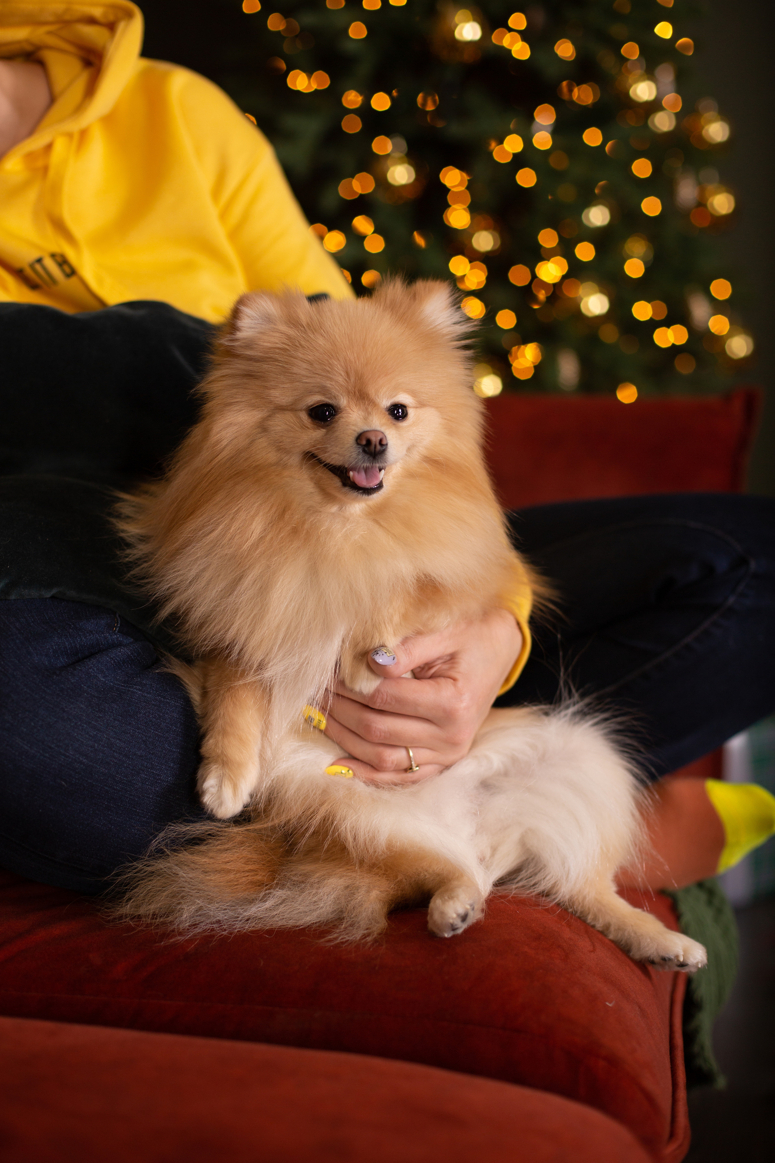 Lenchi. Свадебный и семейный фотограф
