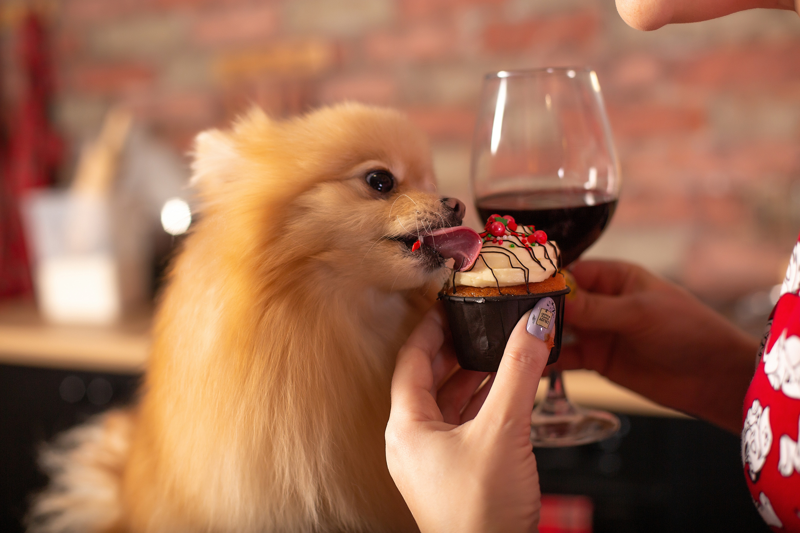 Lenchi. Свадебный и семейный фотограф