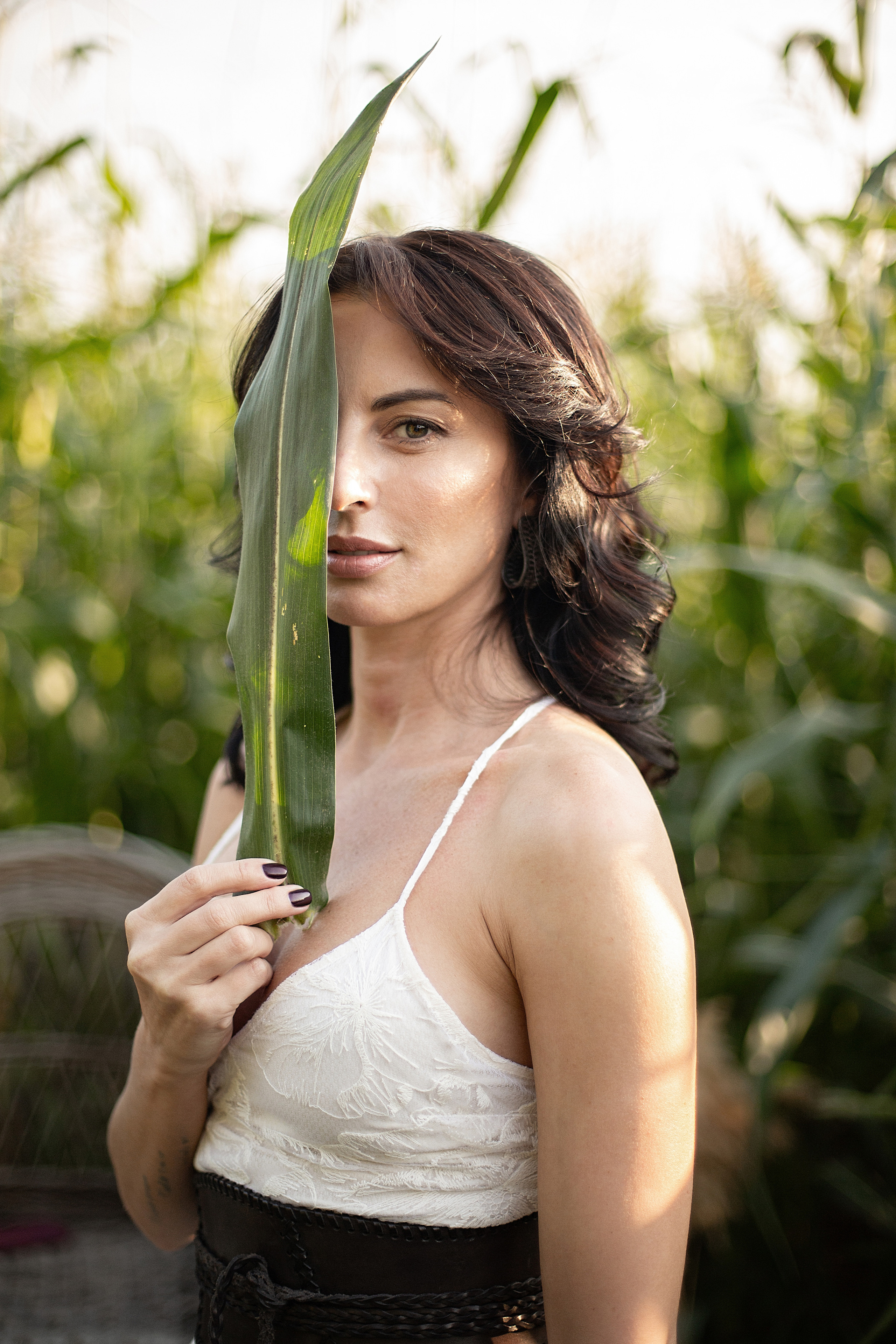 Кукурузное поле. Свадебный и семейный фотограф