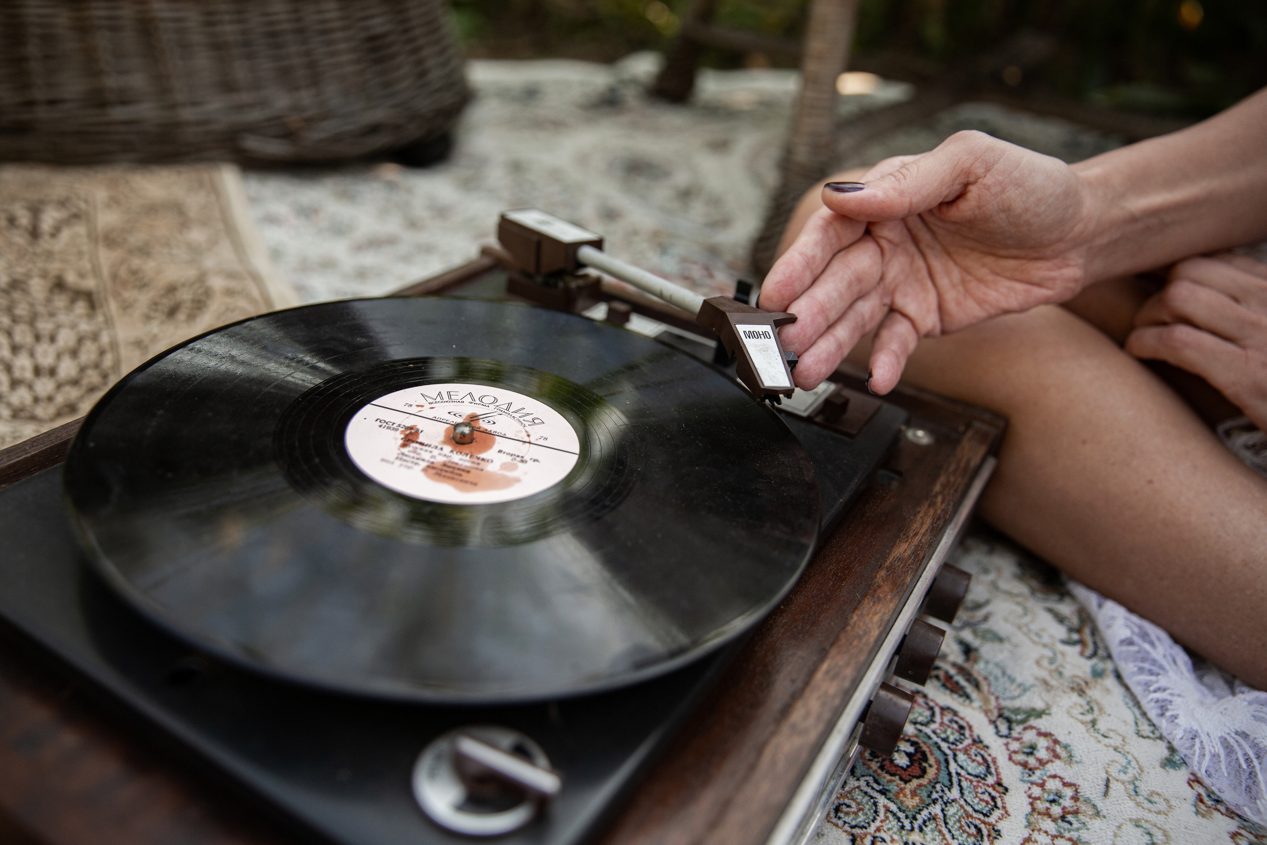 Кукурузное поле. Свадебный и семейный фотограф