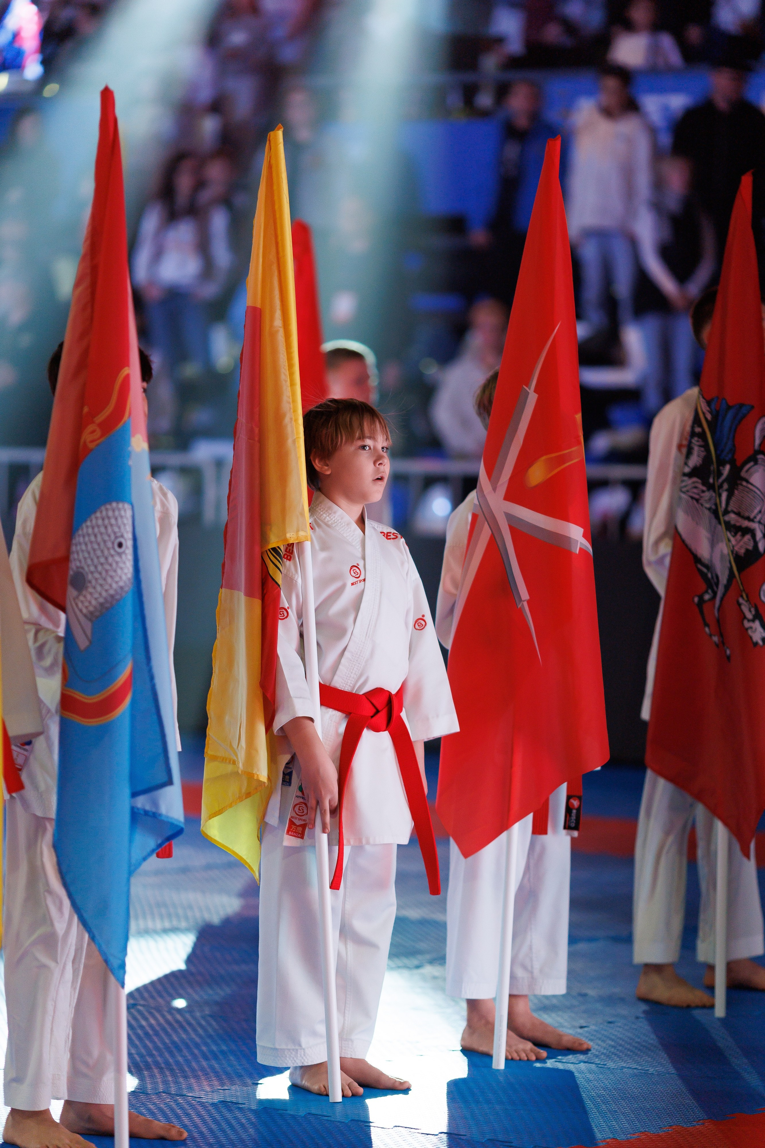 Кубок Пересвета 2026. Репортажный фотограф Ростов-на-дону