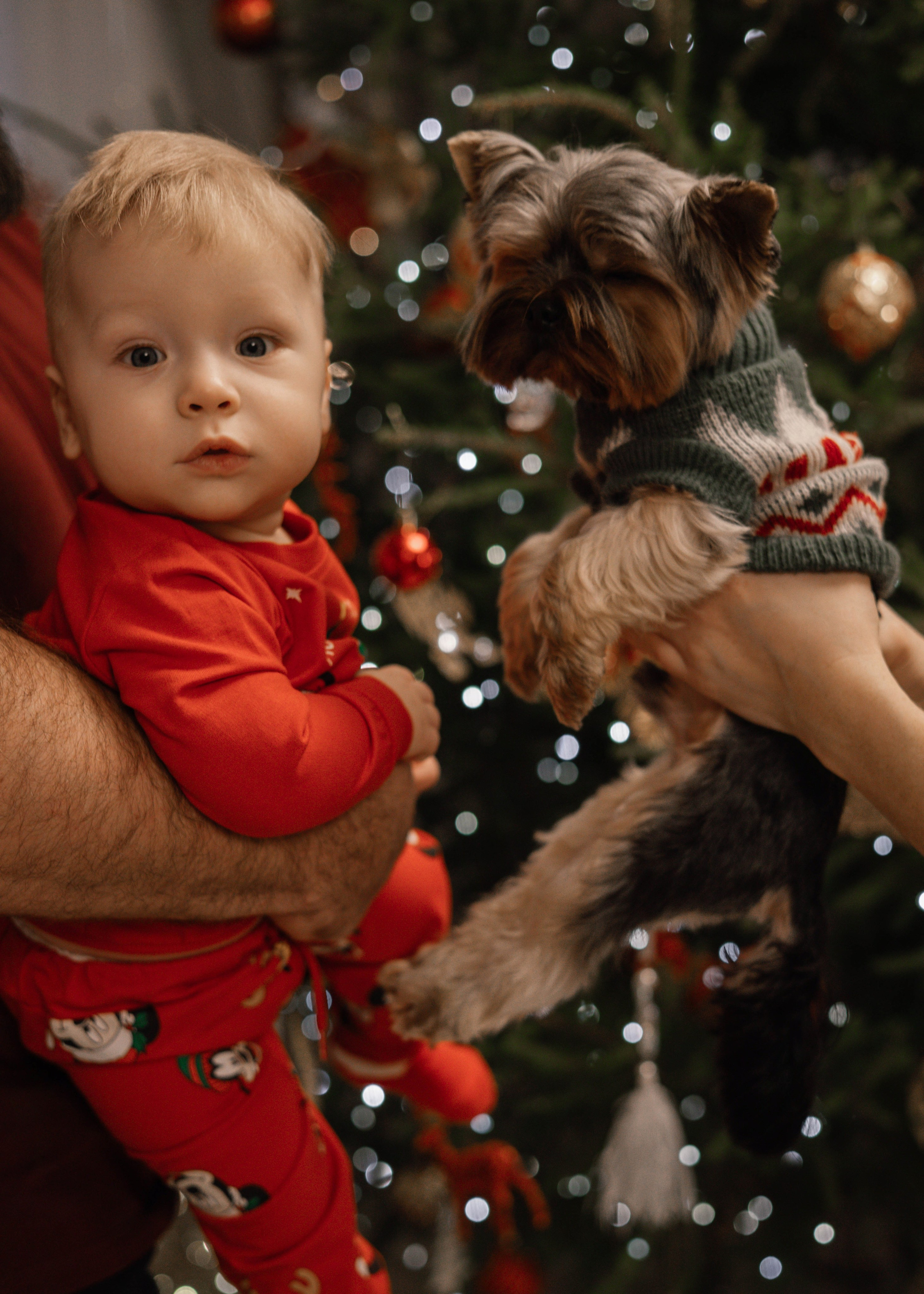 СЕМЕЙНЫЕ. Фотосессия новорожденных в Москве и Московской области