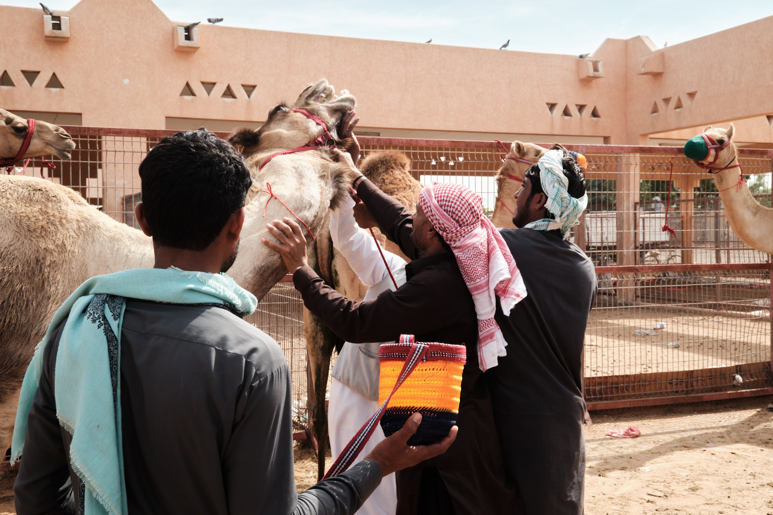 Оман. ОАЭ. Катар. Бахрейн. Юрий Березнюк. Фотожурналистика
