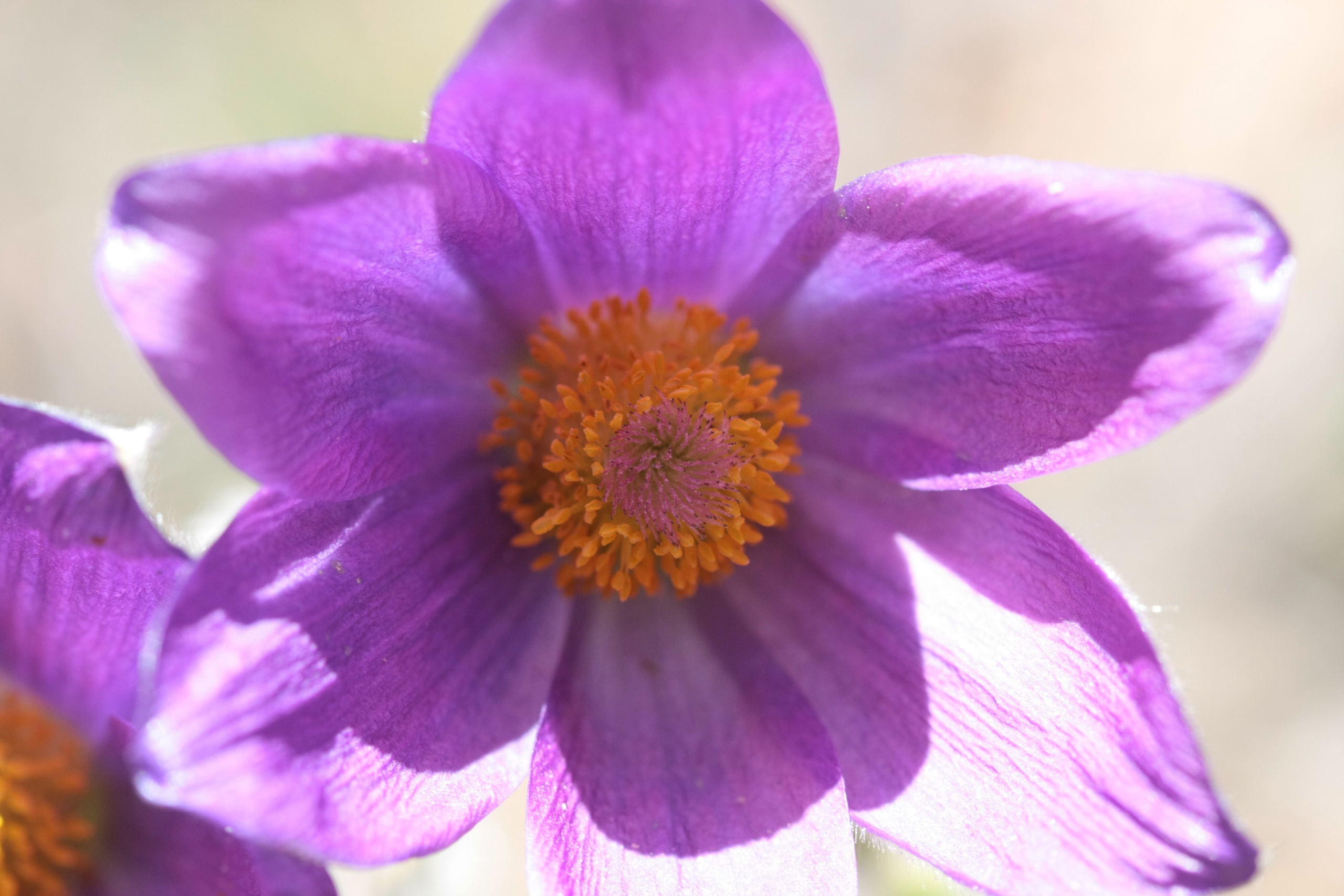 Фото Природы Забайкалья. Студия Максима Белослюдцева