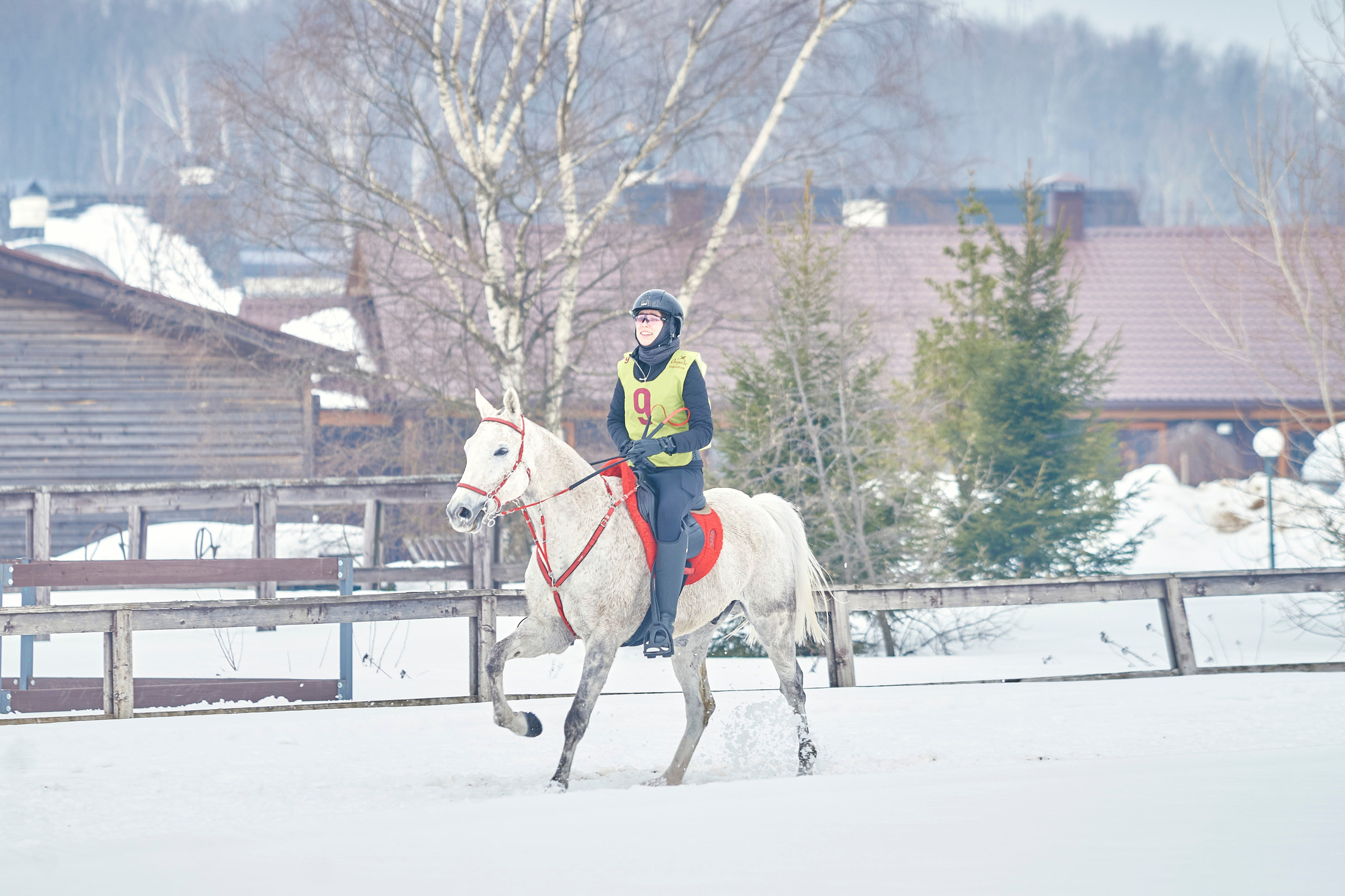 HORSE RACING. Фотограф Наталья Леонова