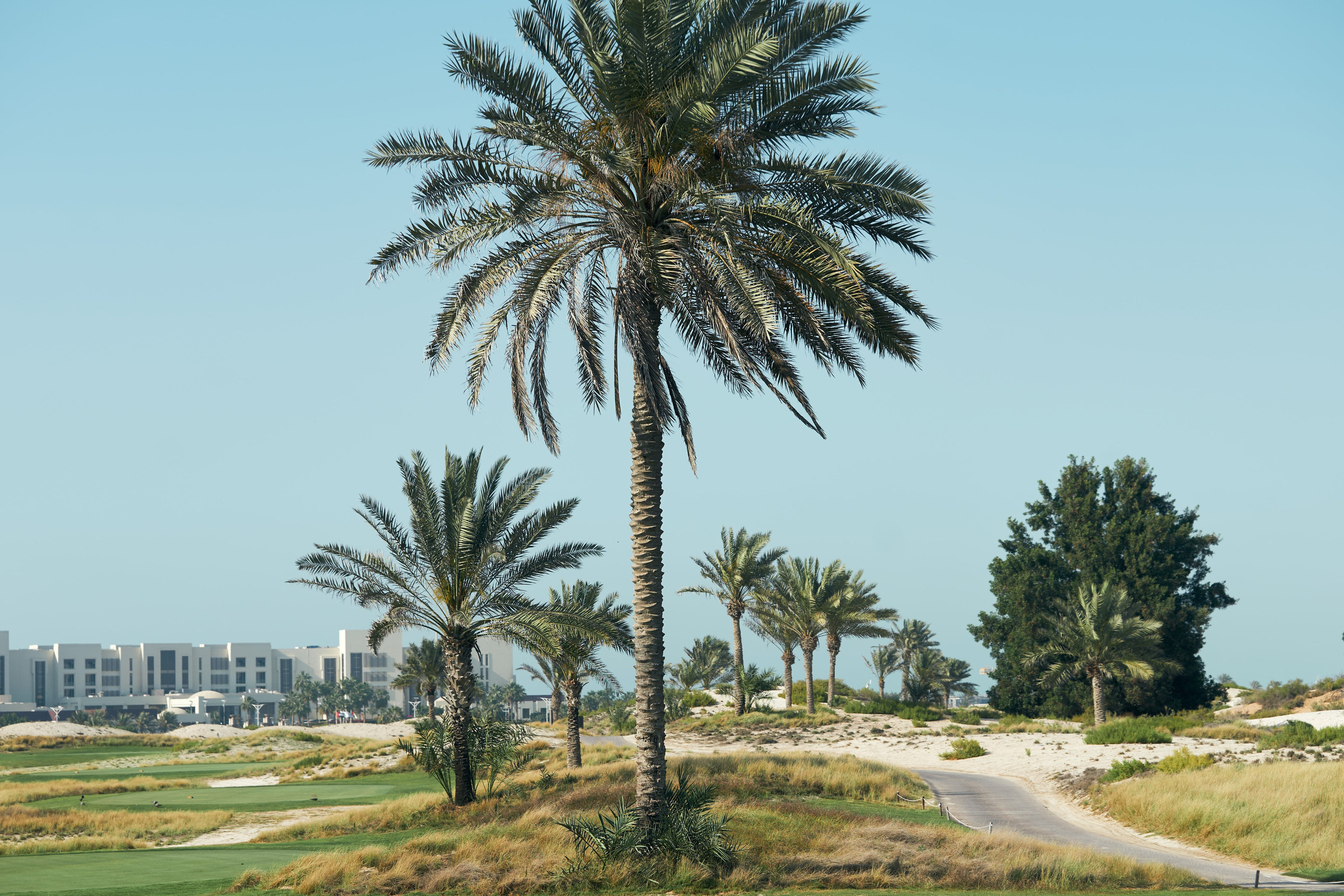 UAE GOLF. Фотограф Наталья Леонова