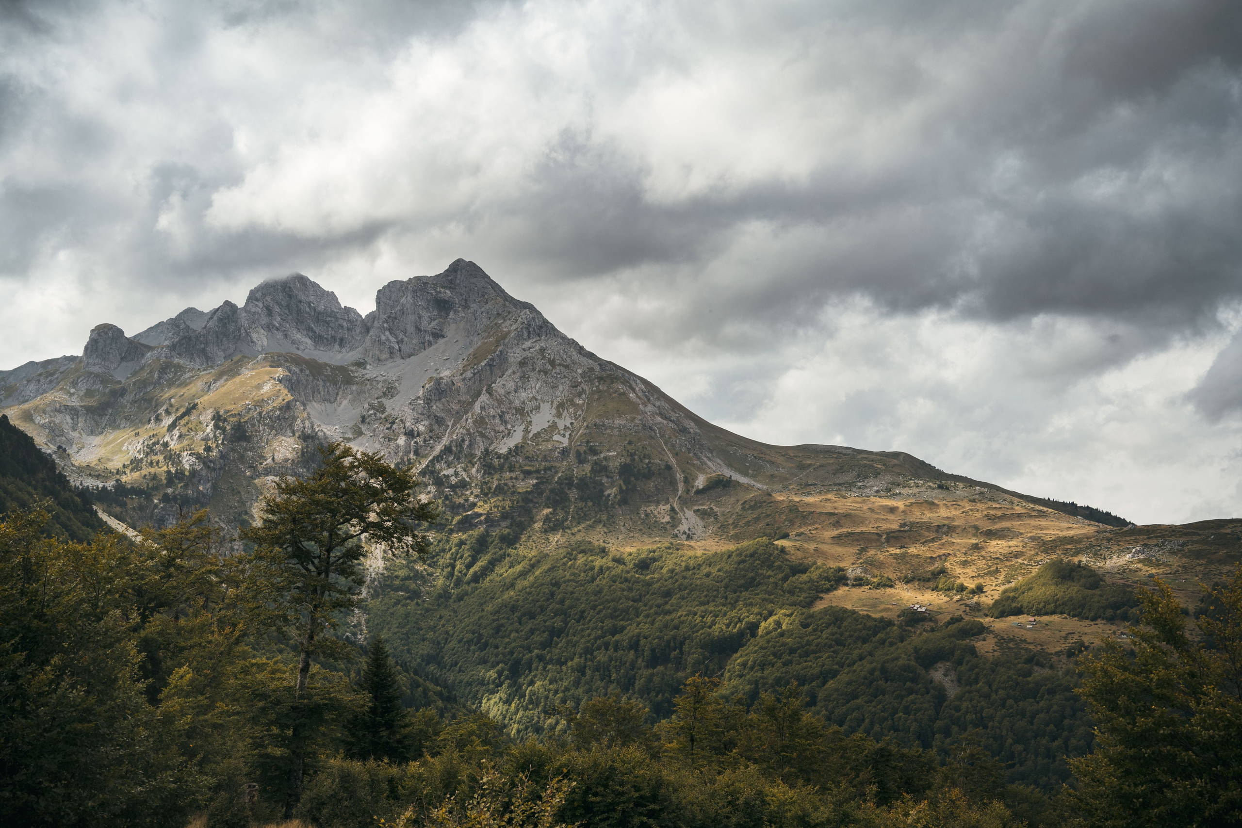 ГОРЫ КОМОВИ. ЧЕРНОГОРИЯ. Фотограф в Белграде Чугреева Елена