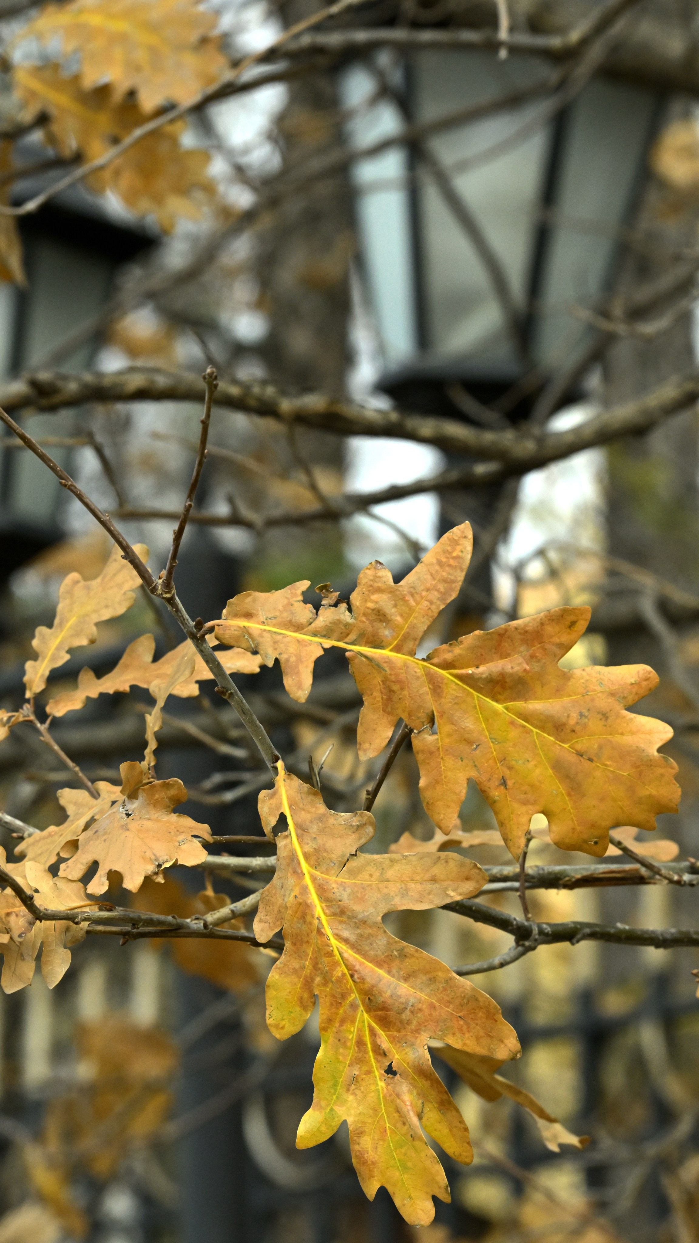 Ижевск. Сергей Люльченко фотоальбом