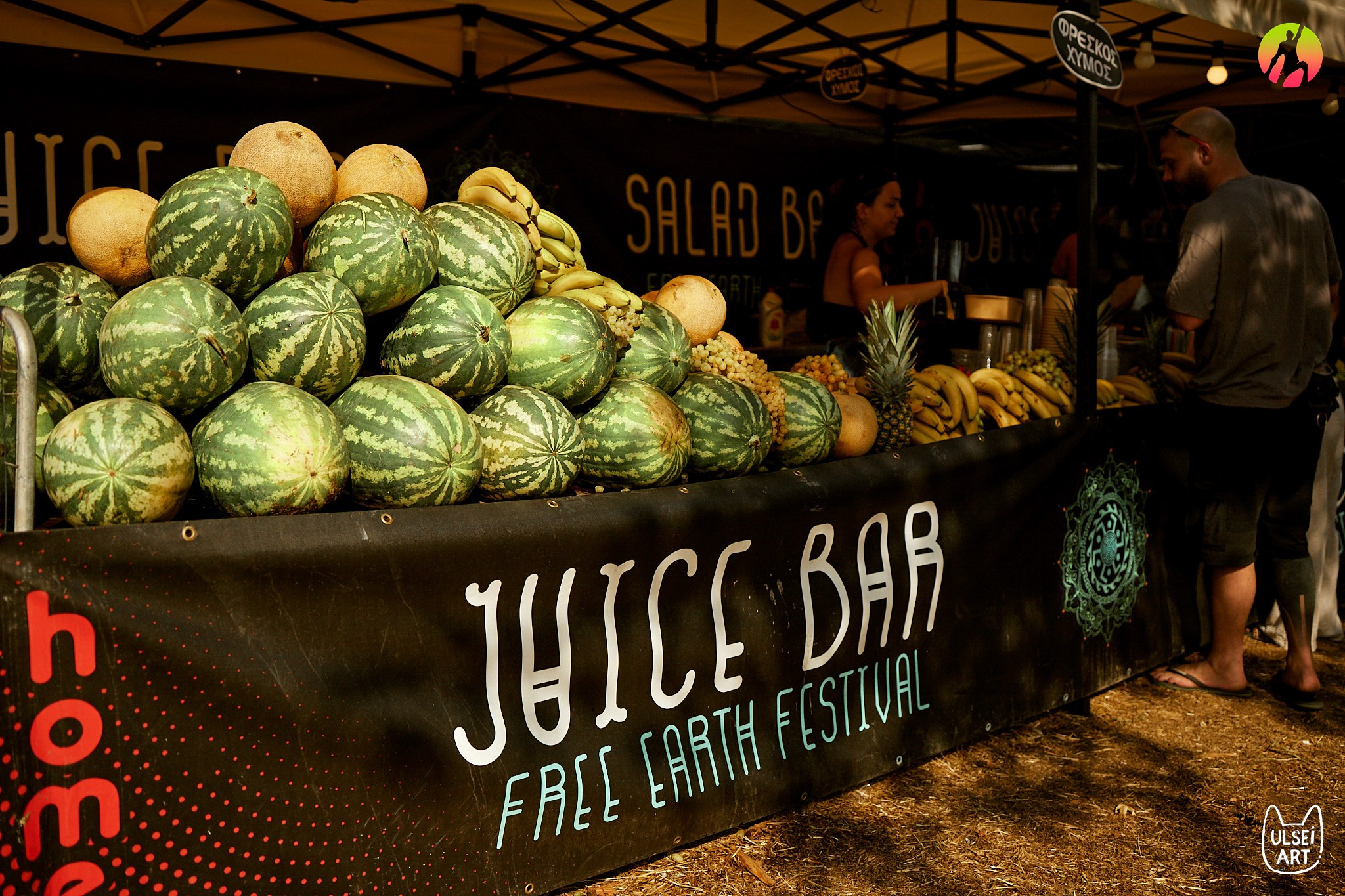 Free Earth festival 2024. Фотохудожник Елена Криулина