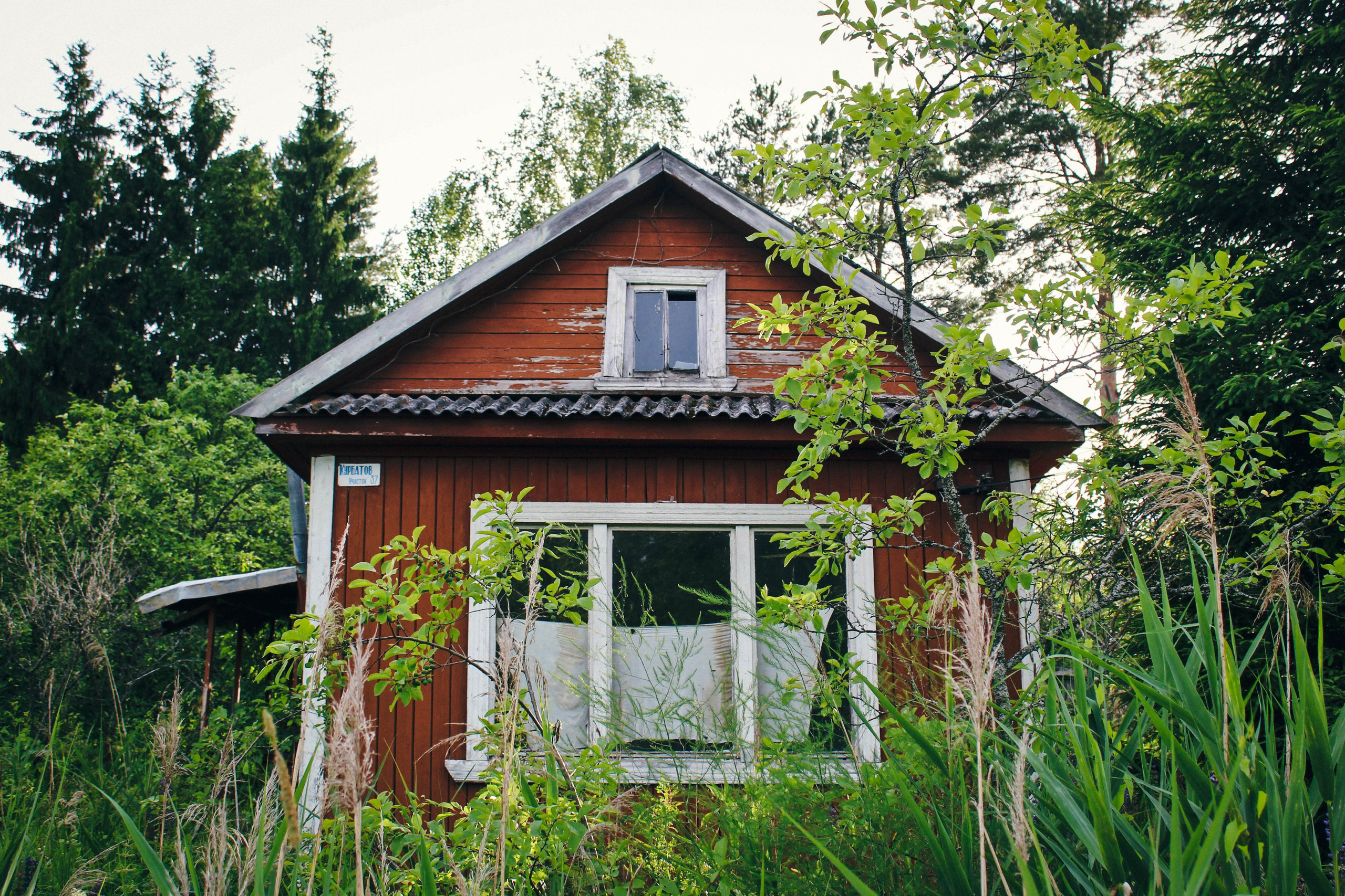 Дер. Александровка. Фотограф Ксения Монахова