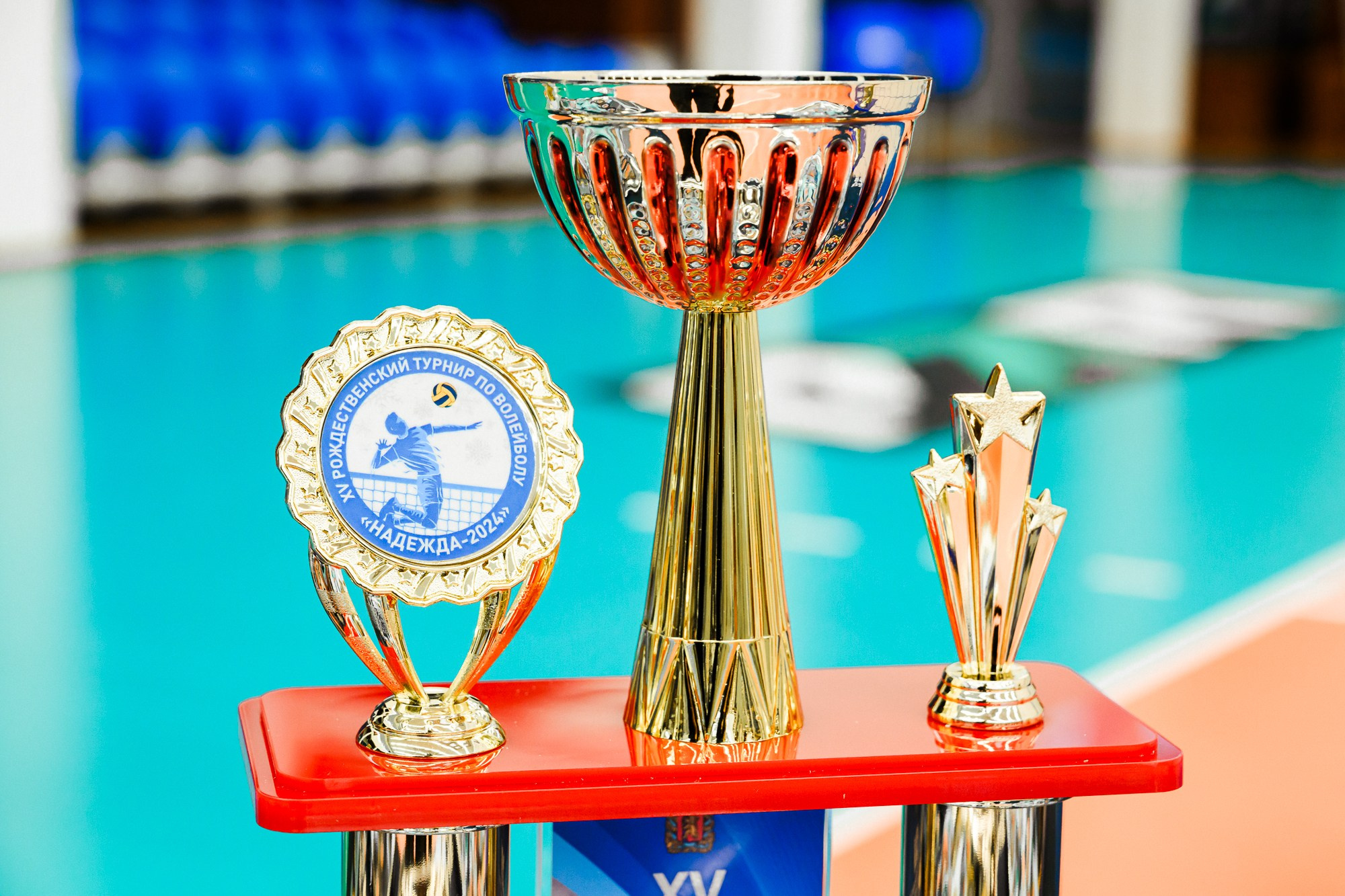 Рождественский турнир по волейболу «Надежда» МинЗдрава. 📸Портретный и репортажный фотограф | Красноярск | Поливода Дмитрий📸