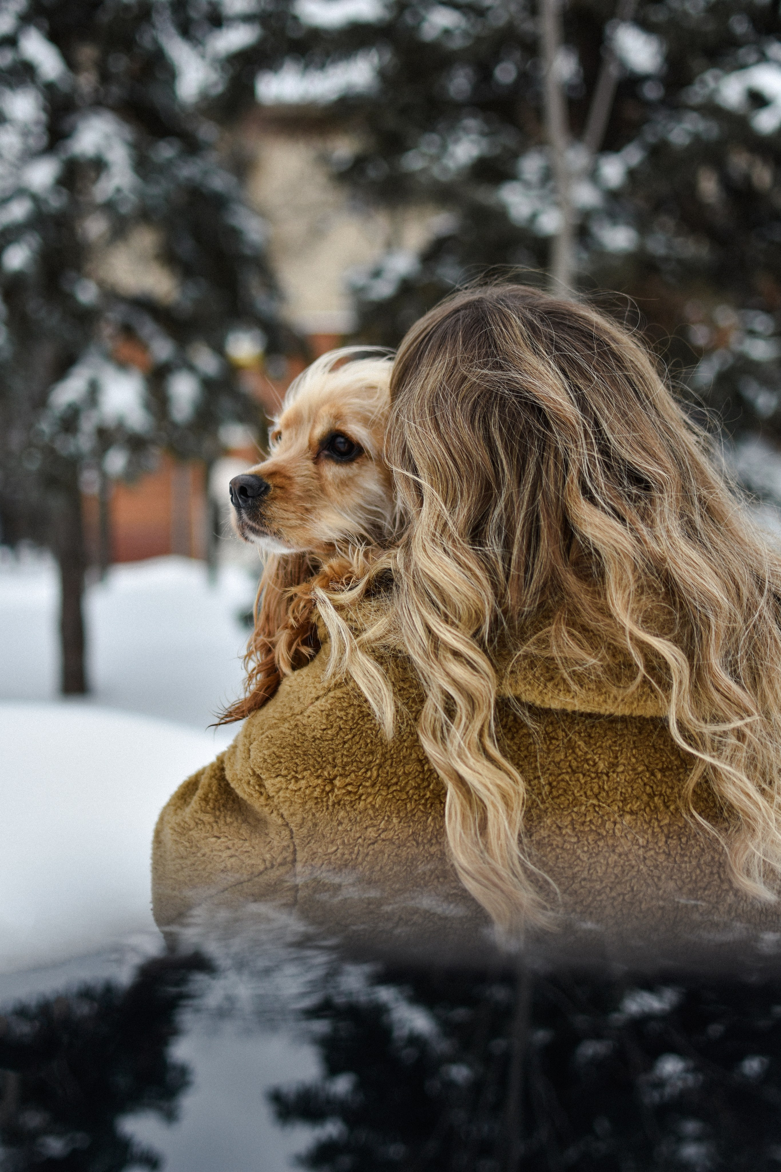 Мира и Даша. Фотограф-анималист Ксения Шевцова|Москва