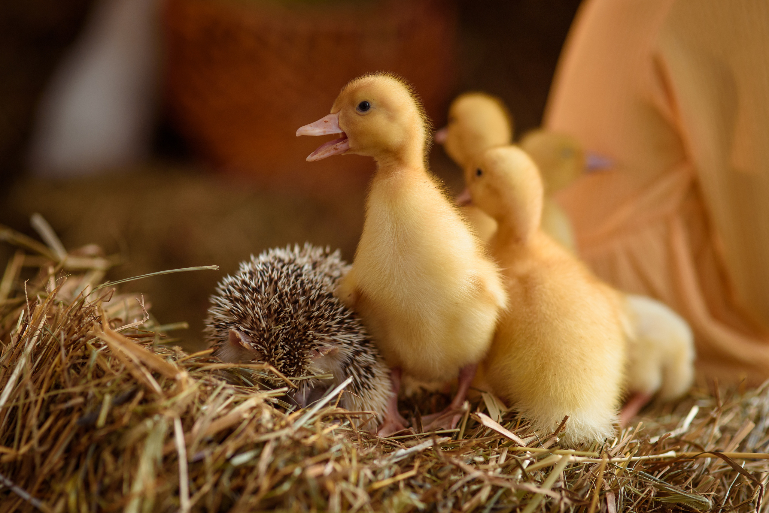 Фотопроект «Пасха». Варя. Семейный и детский фотограф в Нижнем Новгороде Валентина Леонтьева