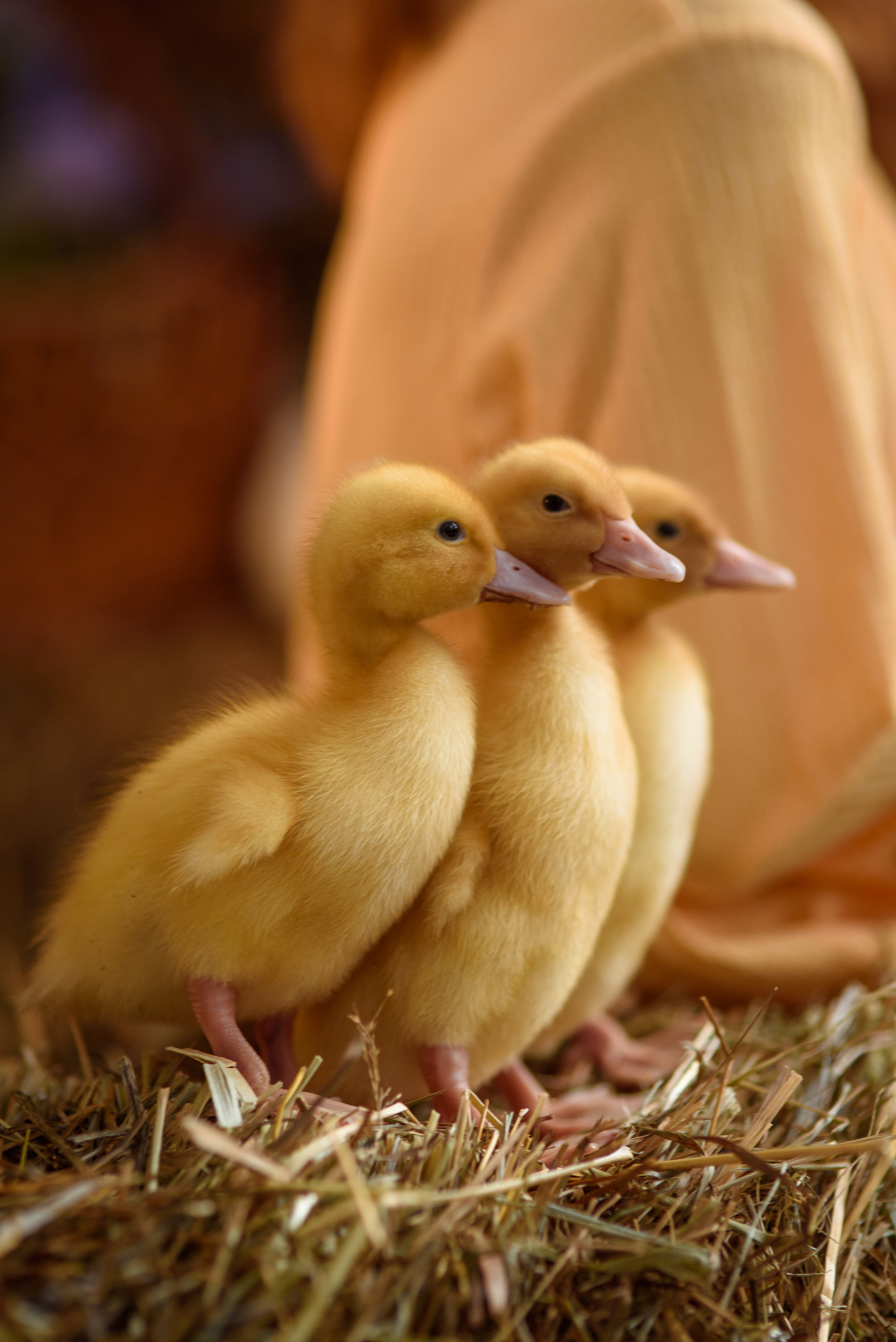 Фотопроект «Пасха». Варя. Семейный и детский фотограф в Нижнем Новгороде Валентина Леонтьева