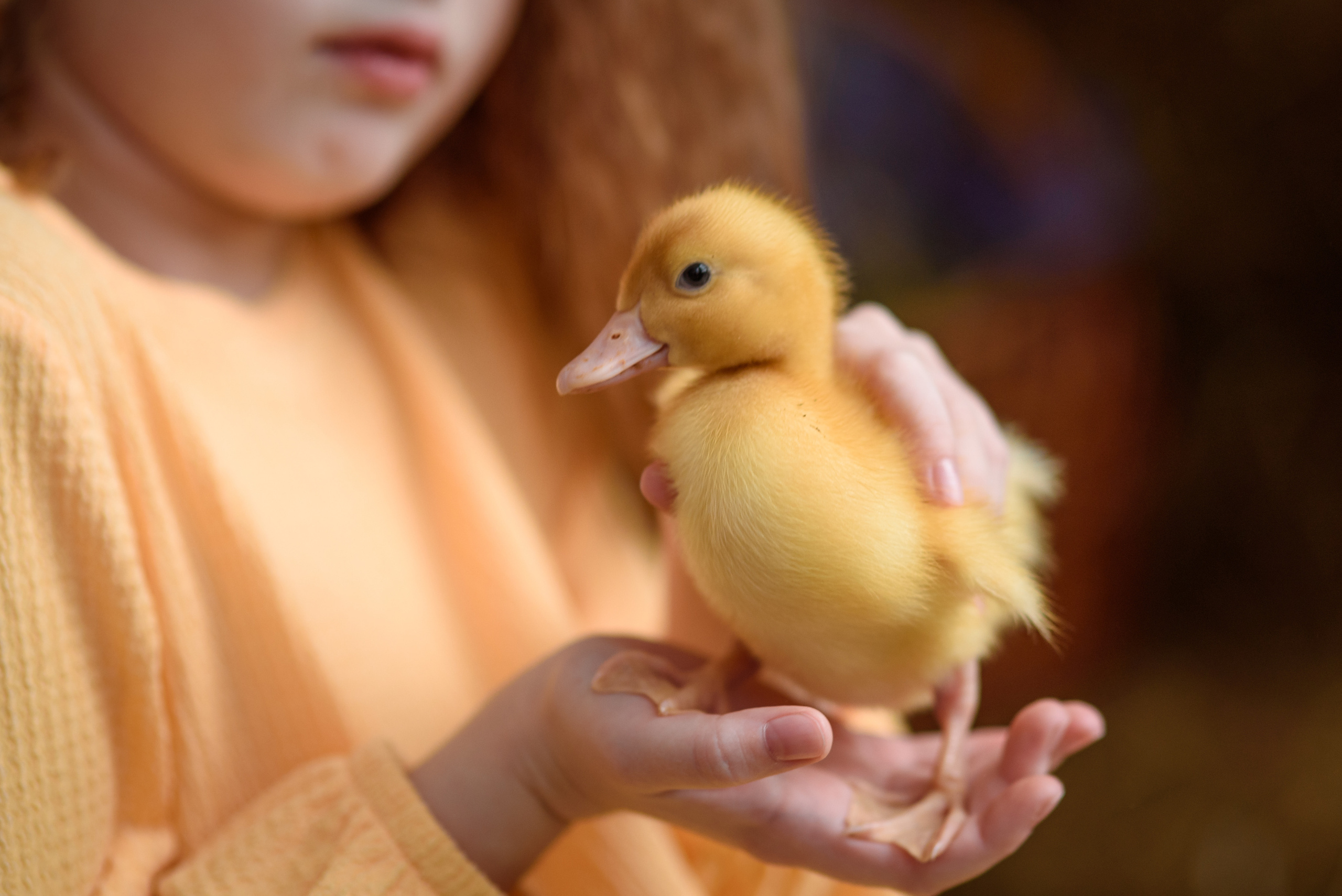 Фотопроект «Пасха». Варя. Семейный и детский фотограф в Нижнем Новгороде Валентина Леонтьева