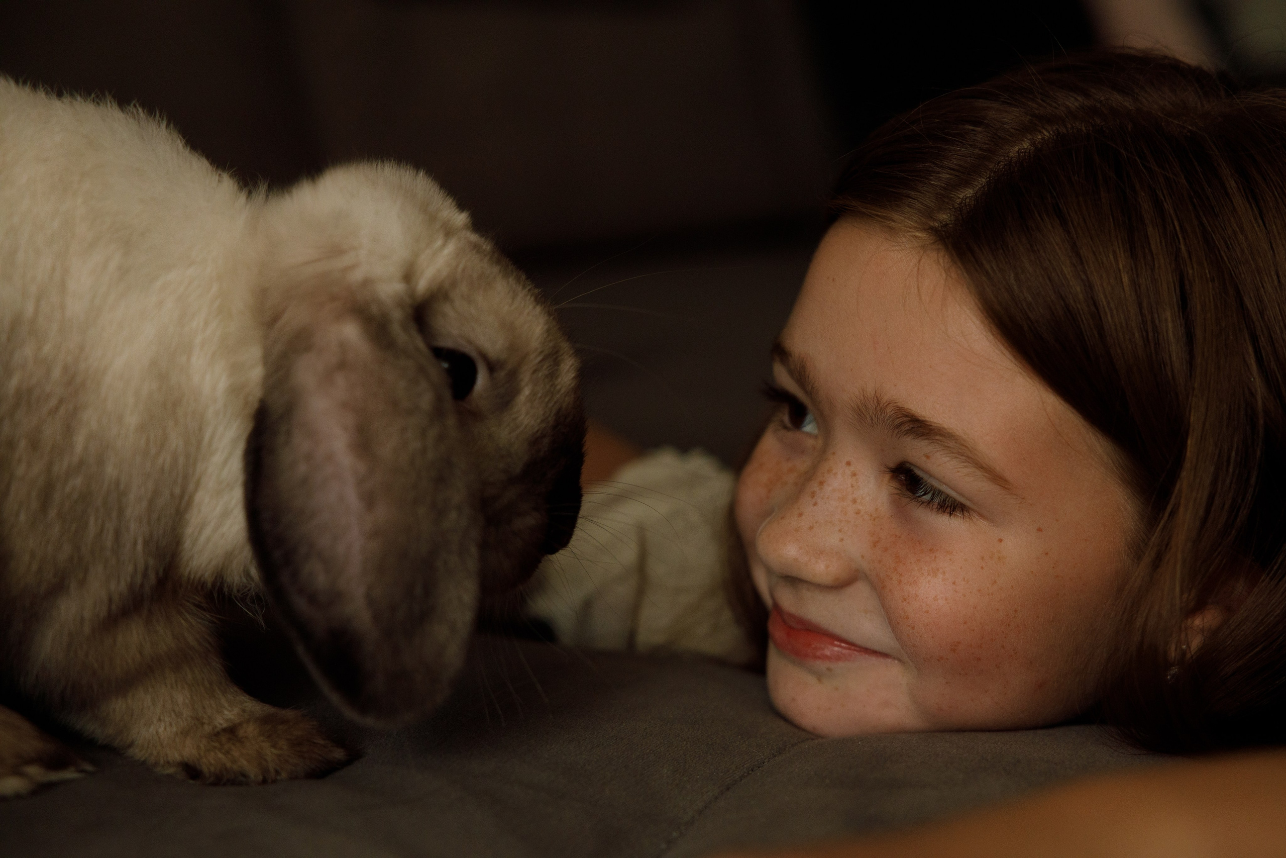 Ева. Главная