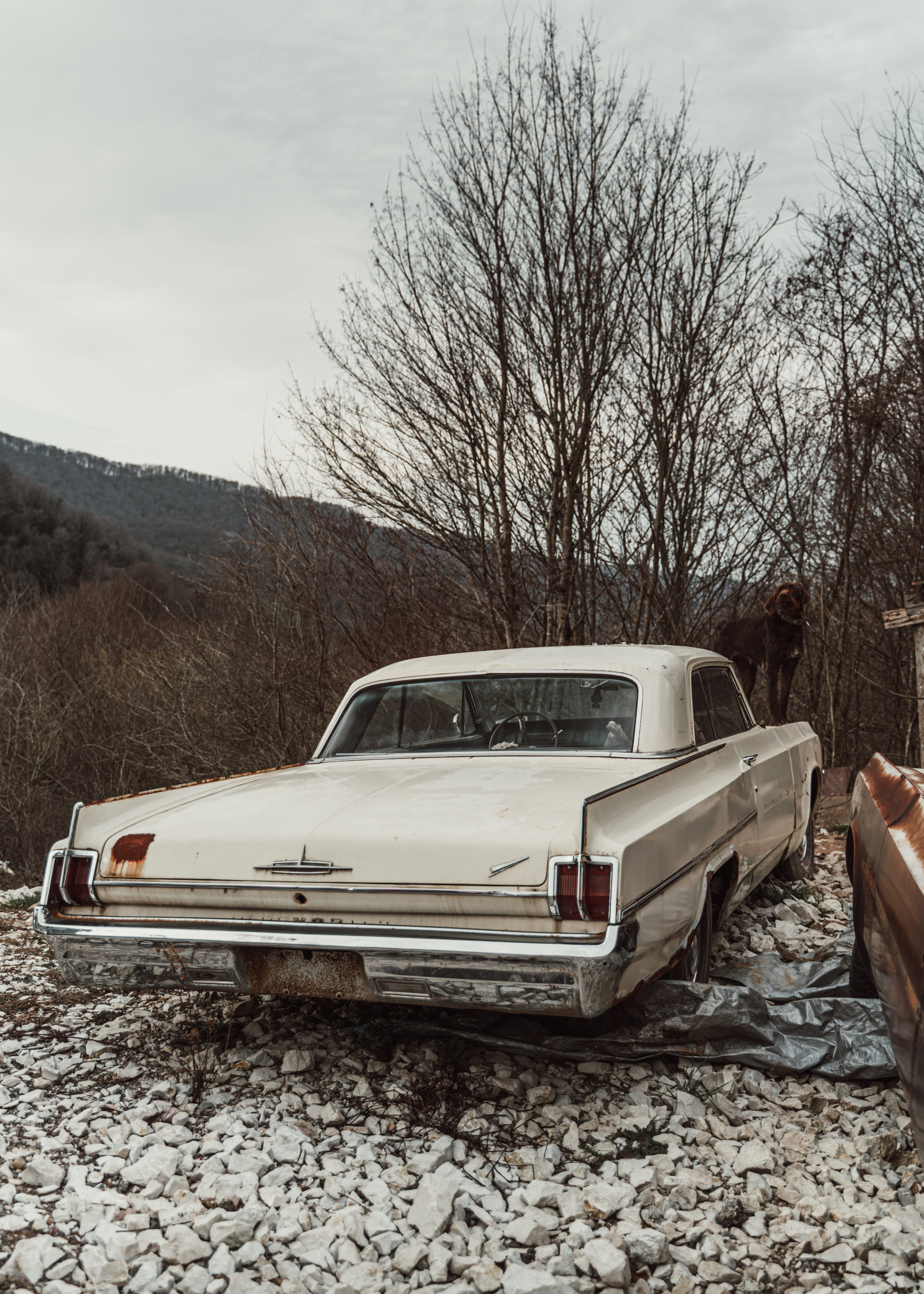 Rusty Junkyard. Автомобильный и просто лучший фотограф в Сочи Nikita No Name