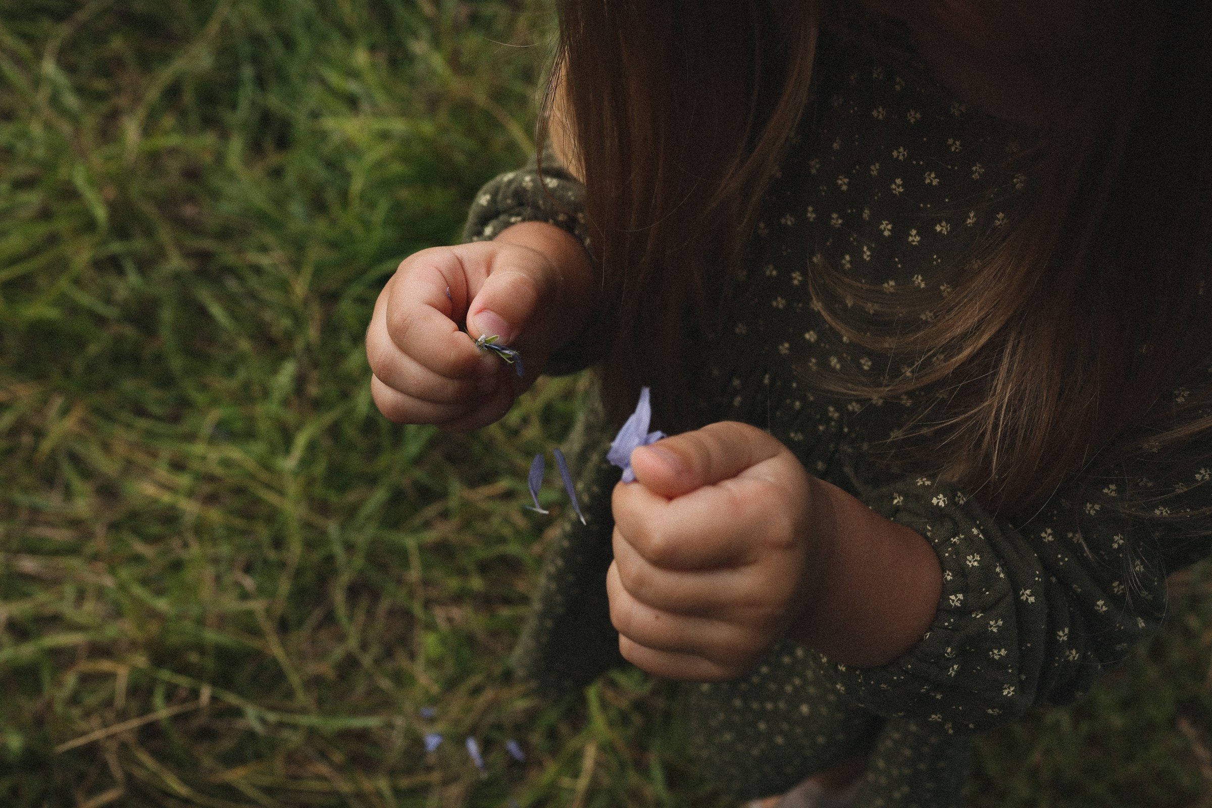 Петушок или курочка?. Семейный фотограф в Москве Алевтина Носова