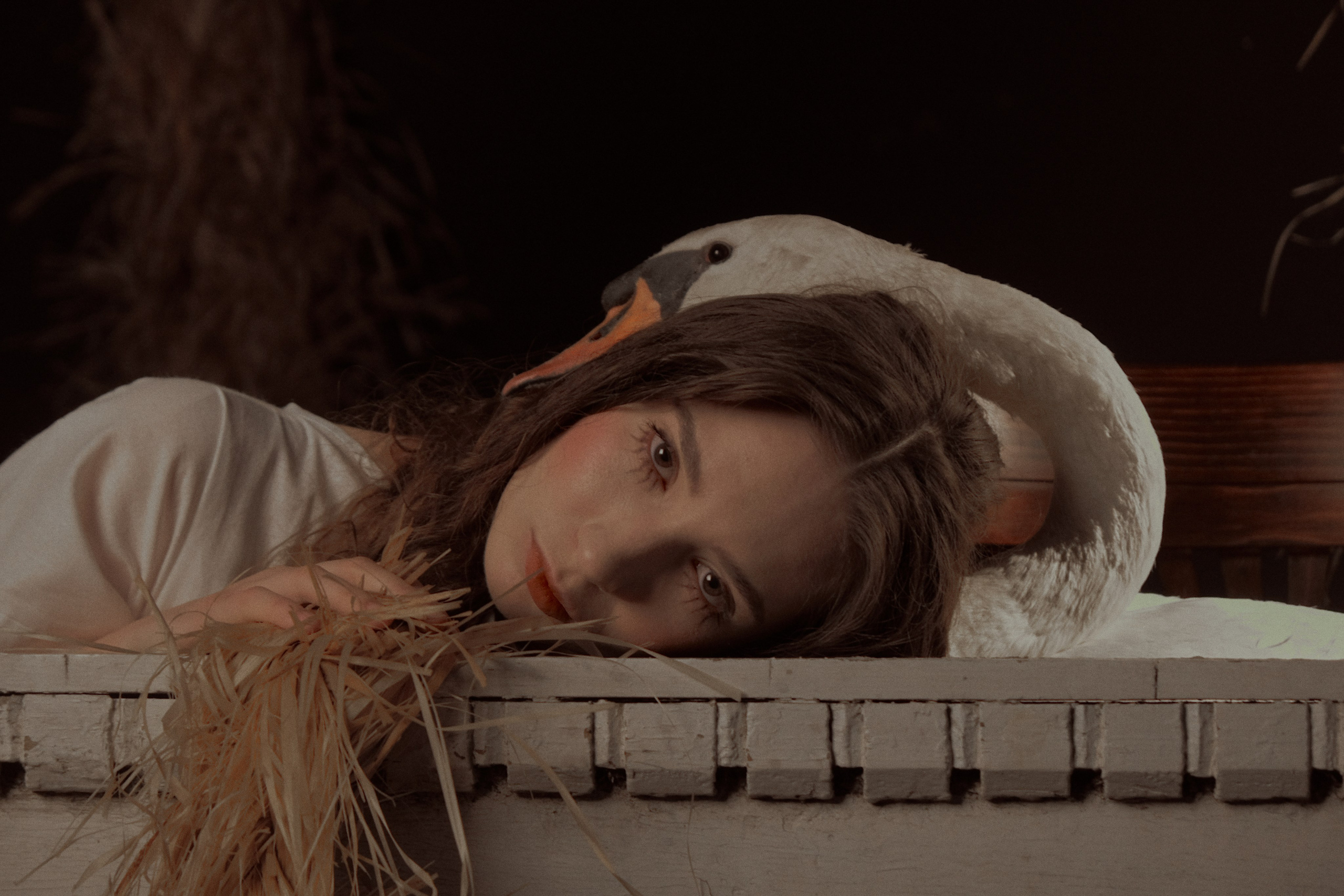 Гуси Лебеди. Фотограф Настя Лев