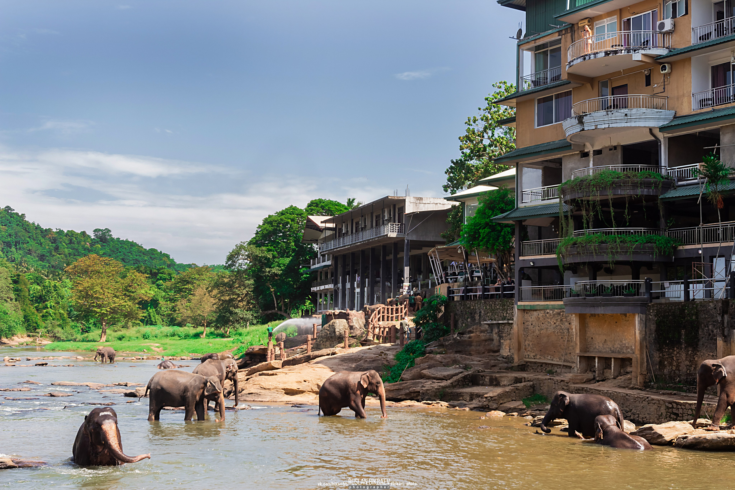 ШРИ-ЛАНКА 2025 / SRI LANKA 2025. Главная