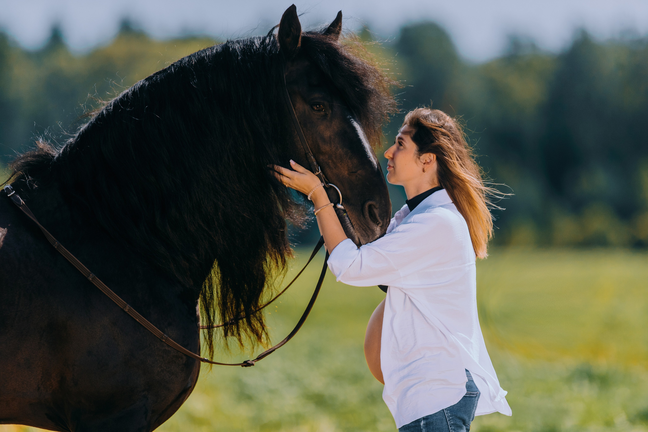 Лена, Серёжа, Петя и Брабус. Фотограф-анималист Ксендзова Кристина