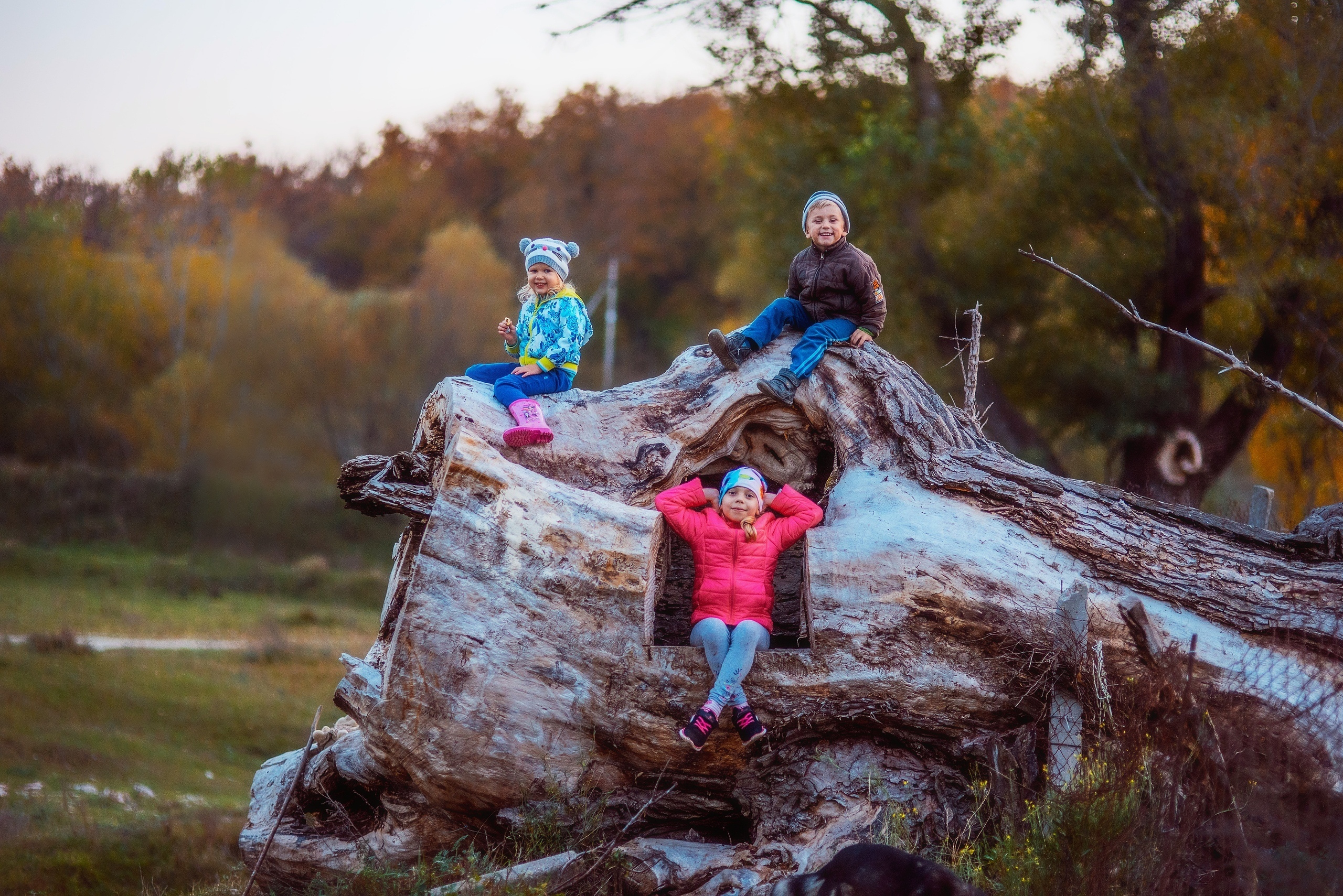 Фотограф в Санкт-Петербурге