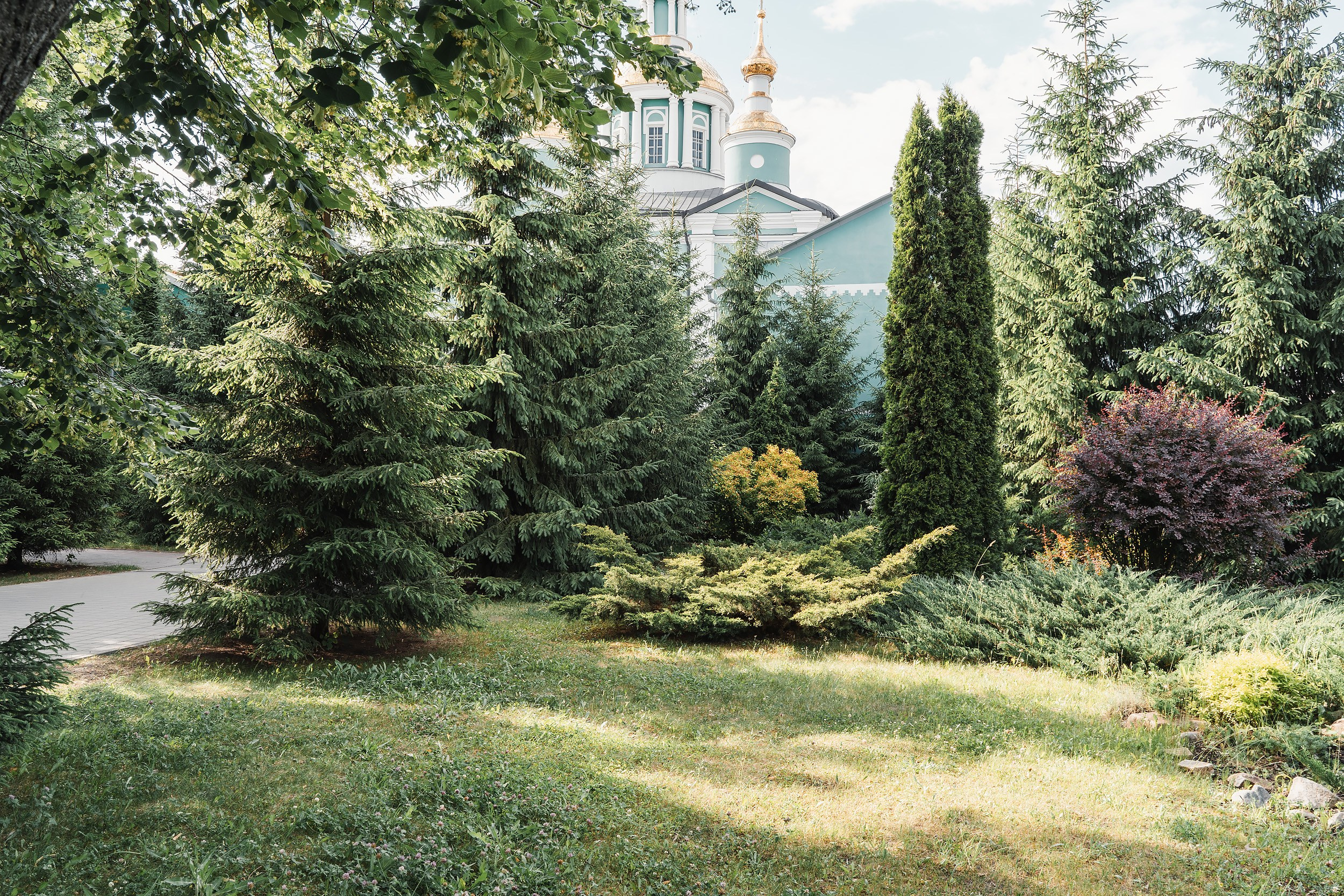 Места для съёмок. Фотограф Александр Решня