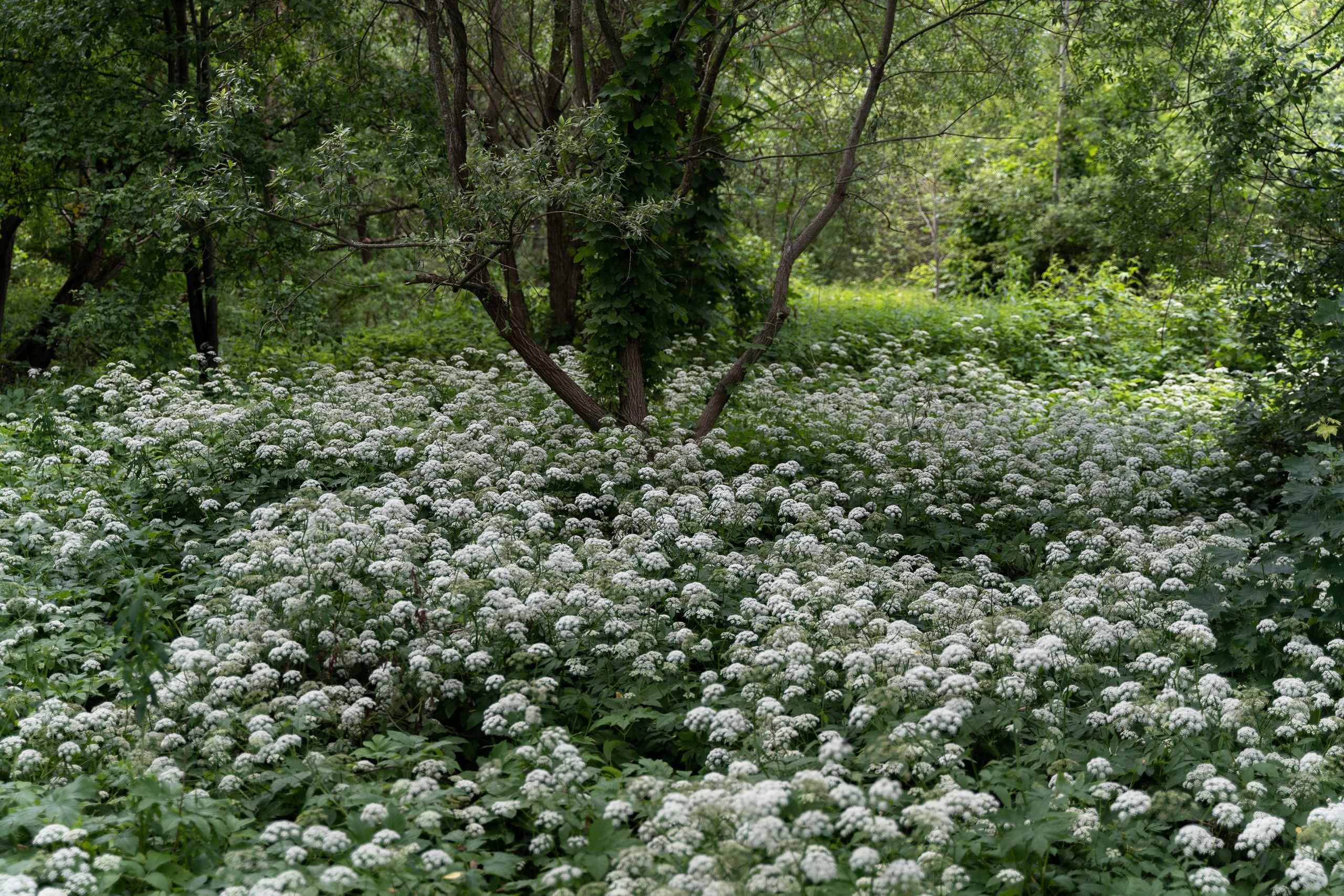 Home.land. Künstler Verstecktoff
