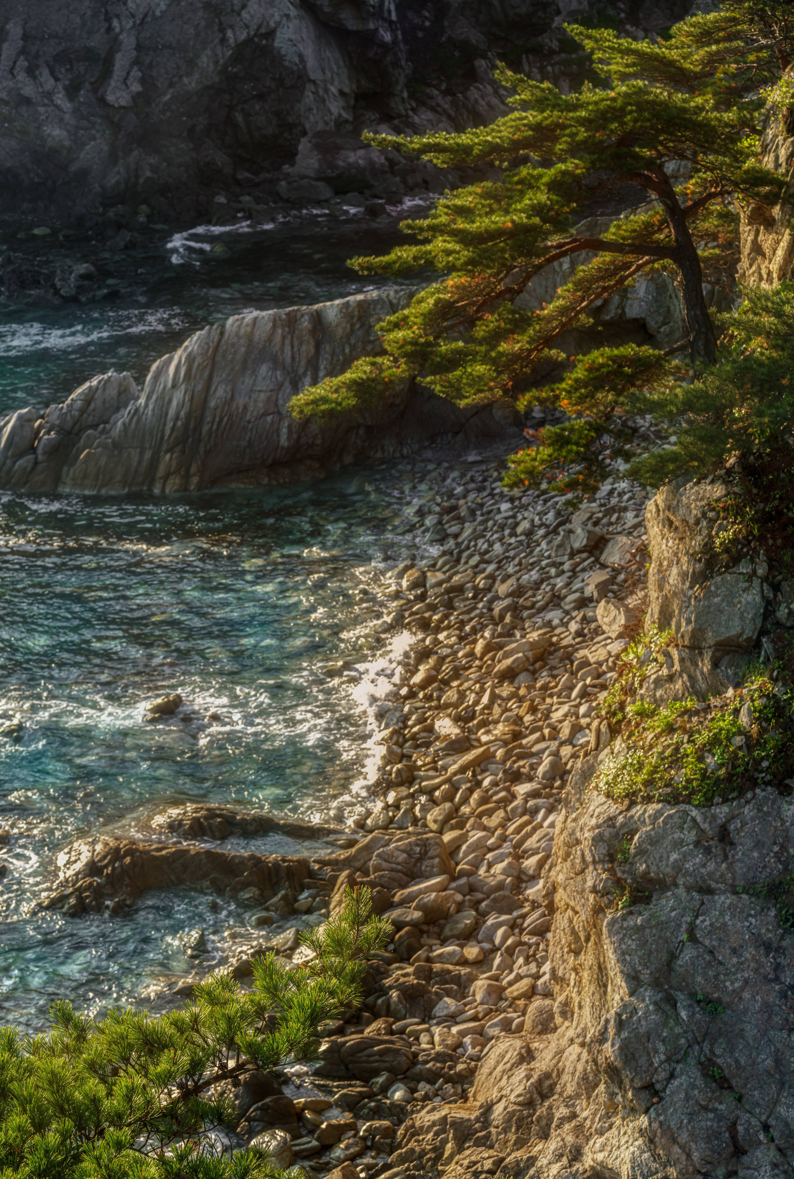 Весеннее Приморье. Май